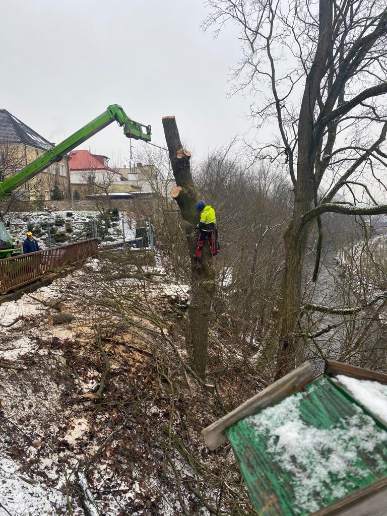 ŘEŽUSTROMY.CZ foto 3