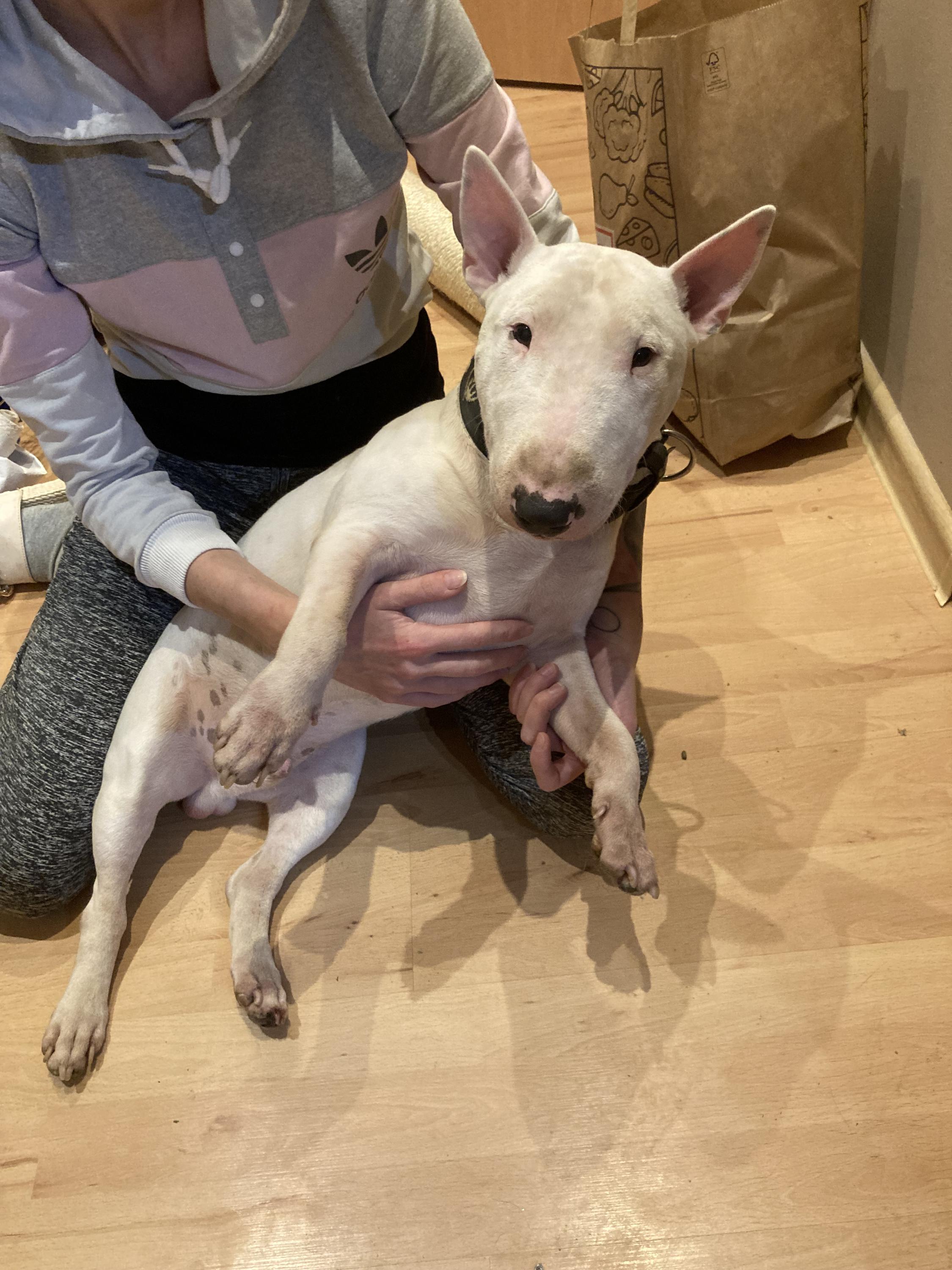 SOS zvířata v nouzi KV foto 2