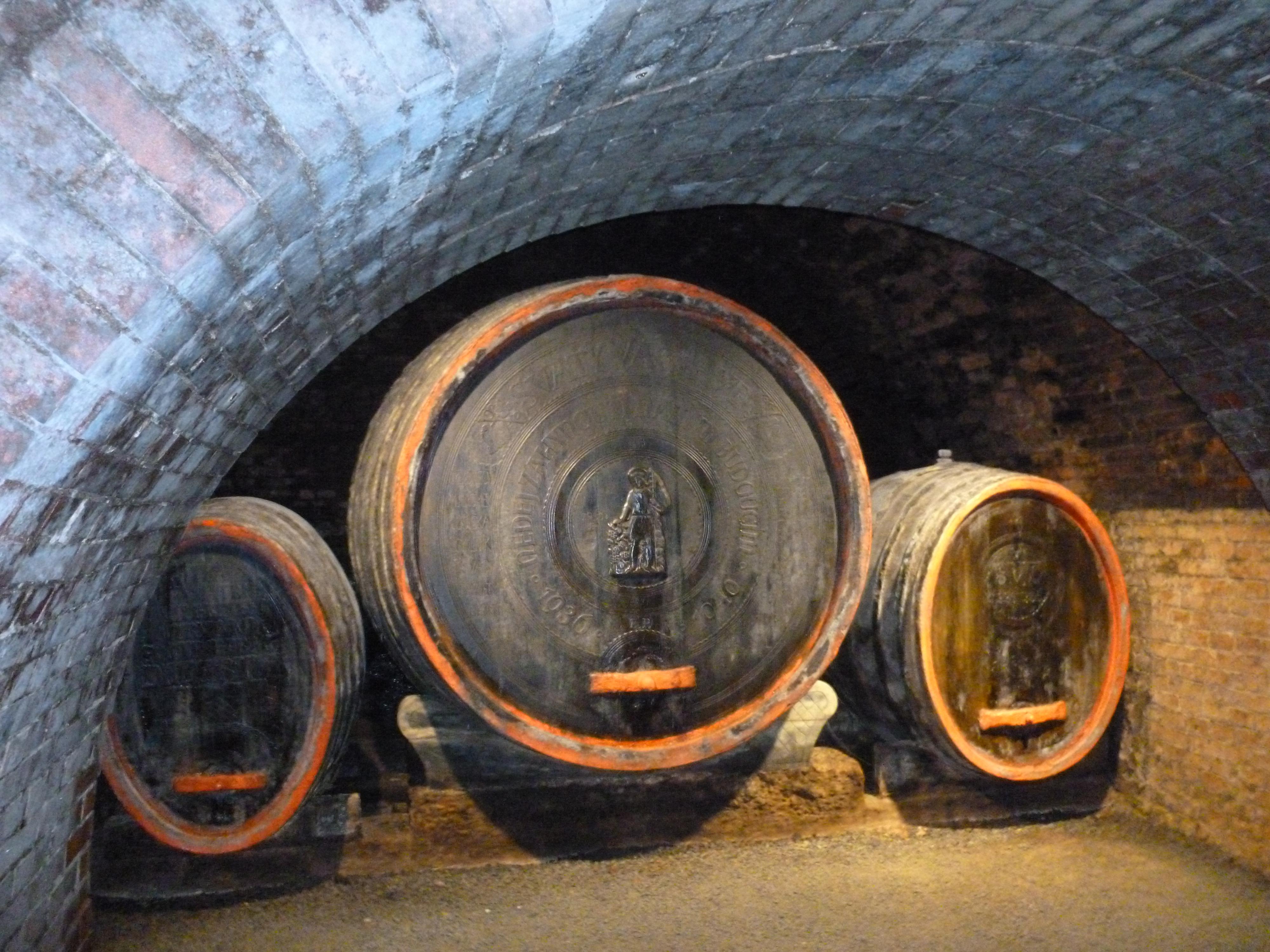Templářské sklepy Čejkovice, vinařské družstvo, družstvo foto 5