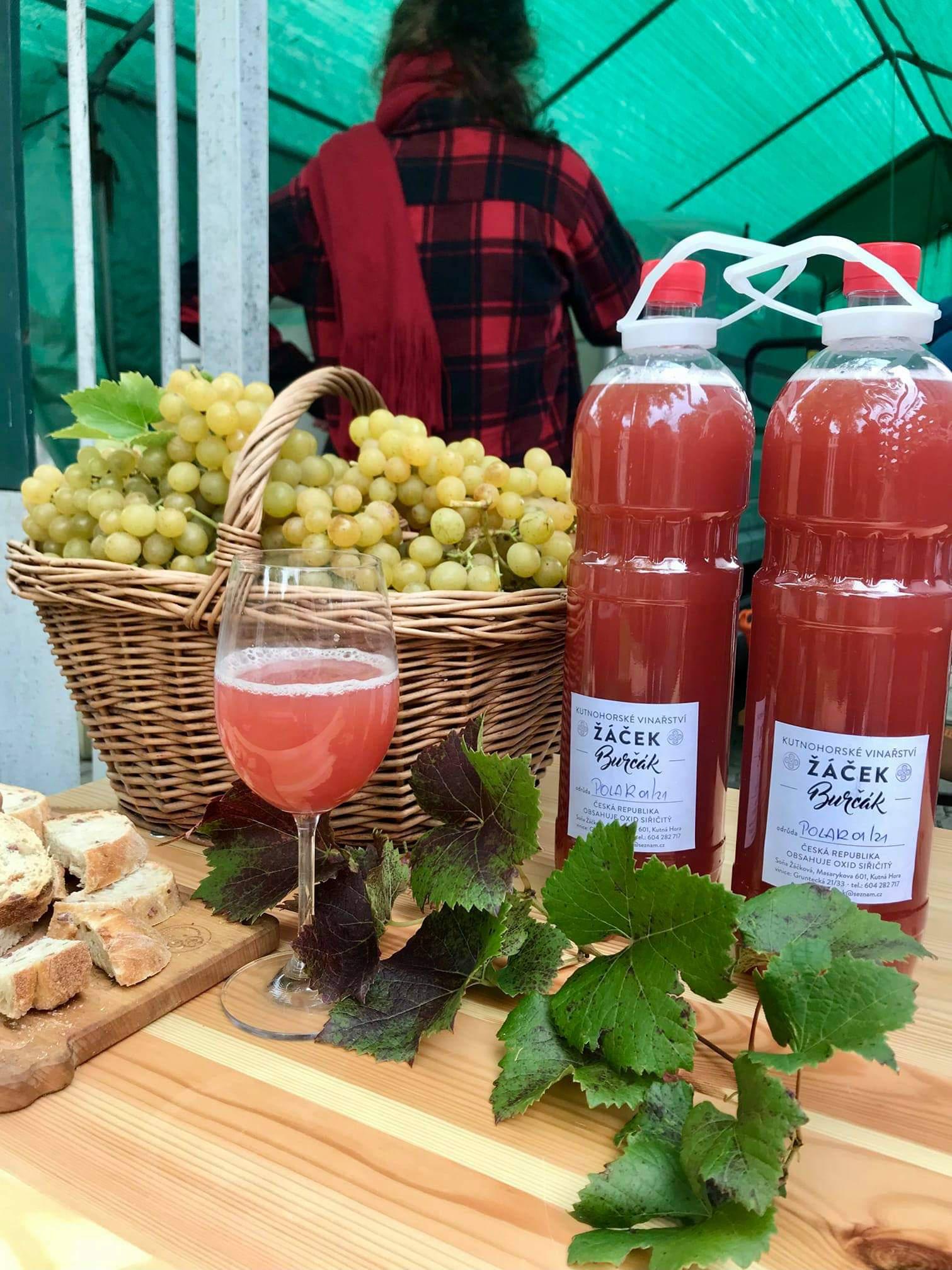 Vinařství Žáček foto 6