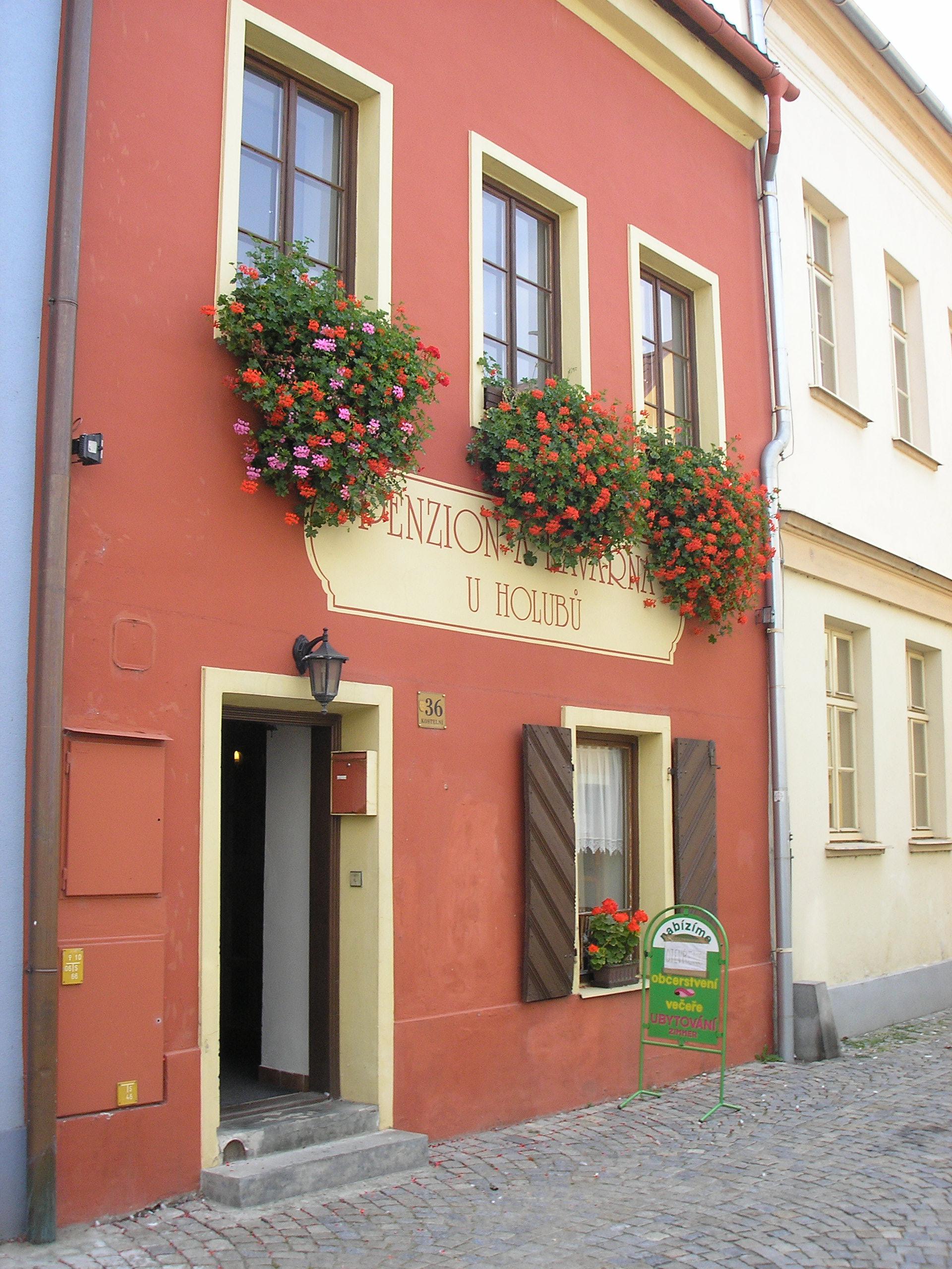 Penzion U Holubů Nový Jičín foto 5