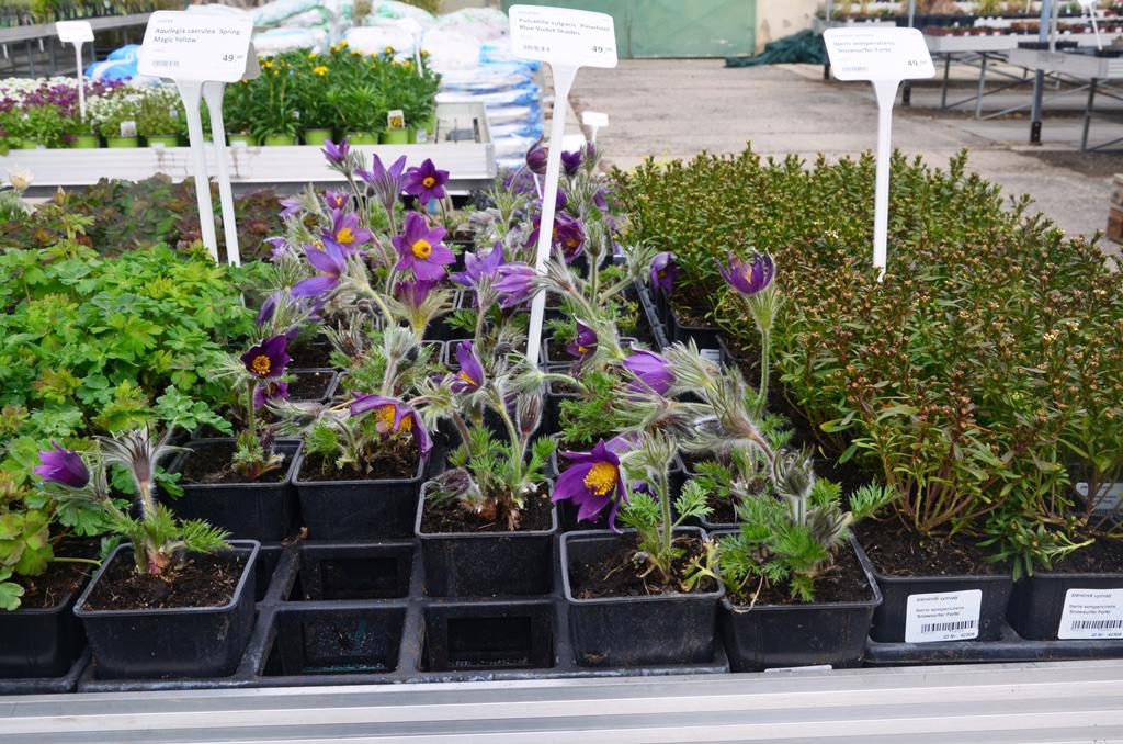 Školky Litomyšl - Floreum foto 6