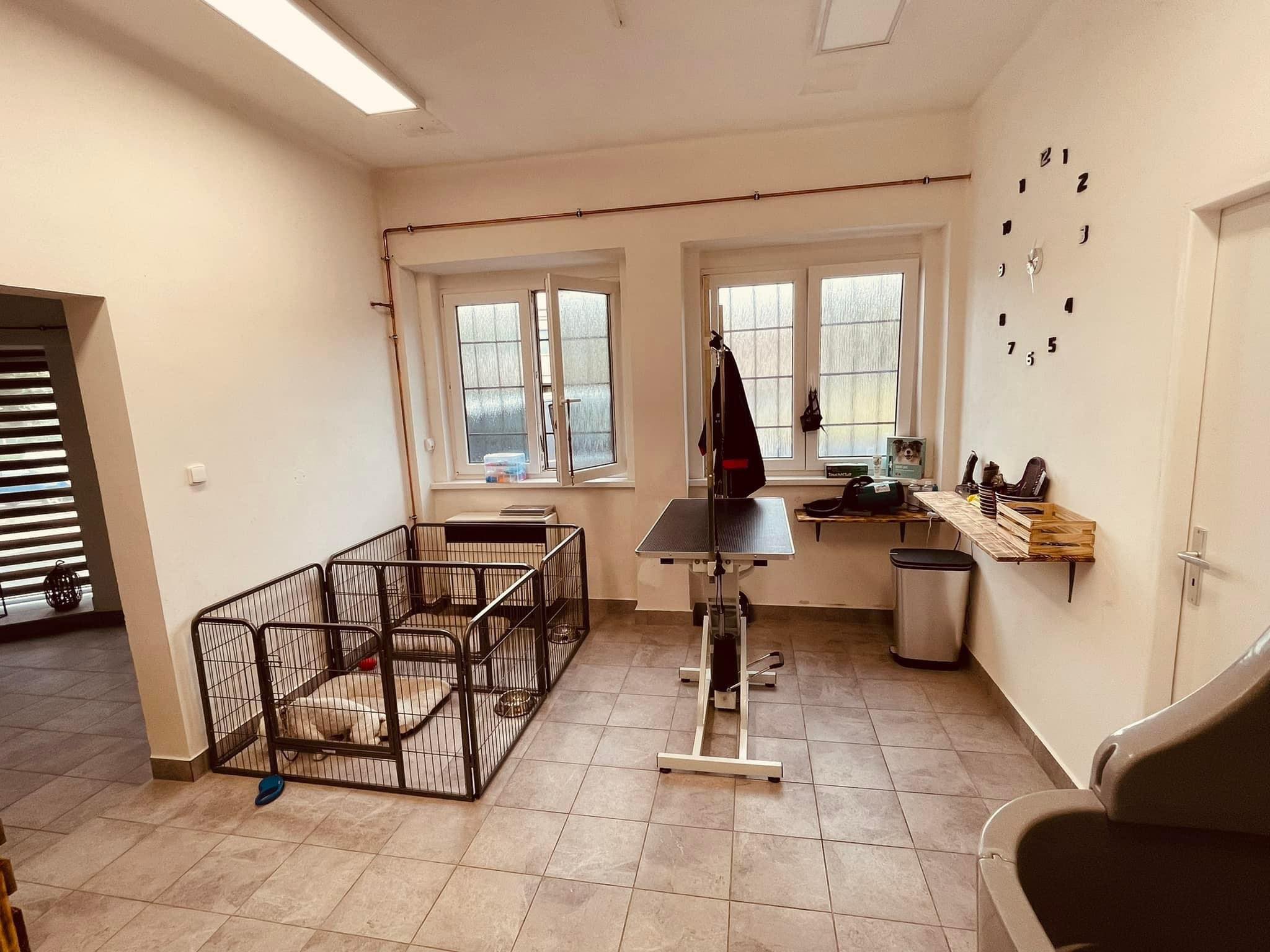 Psí salon Winter Diamond foto 2