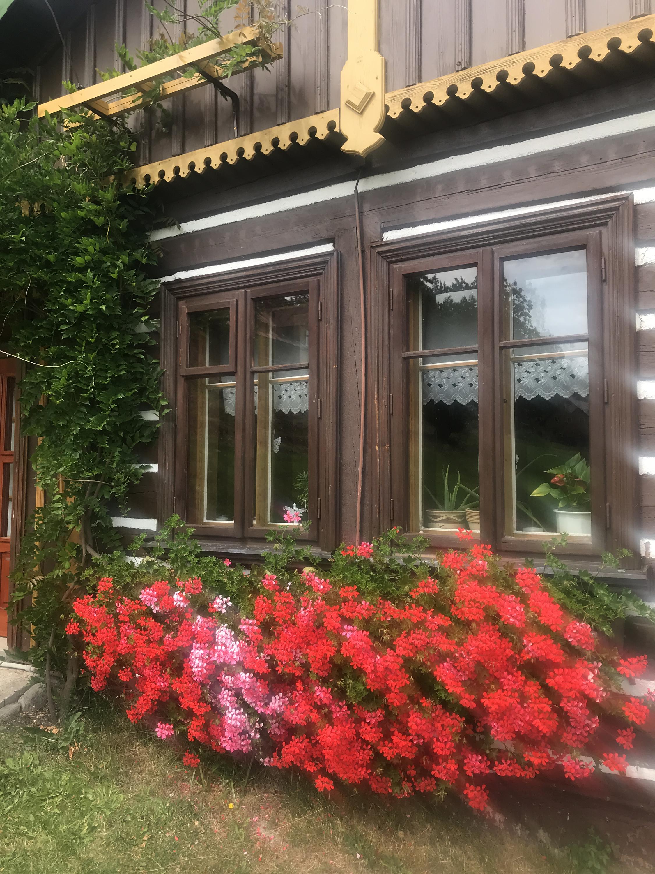 Ubytování U Pešatů foto 6