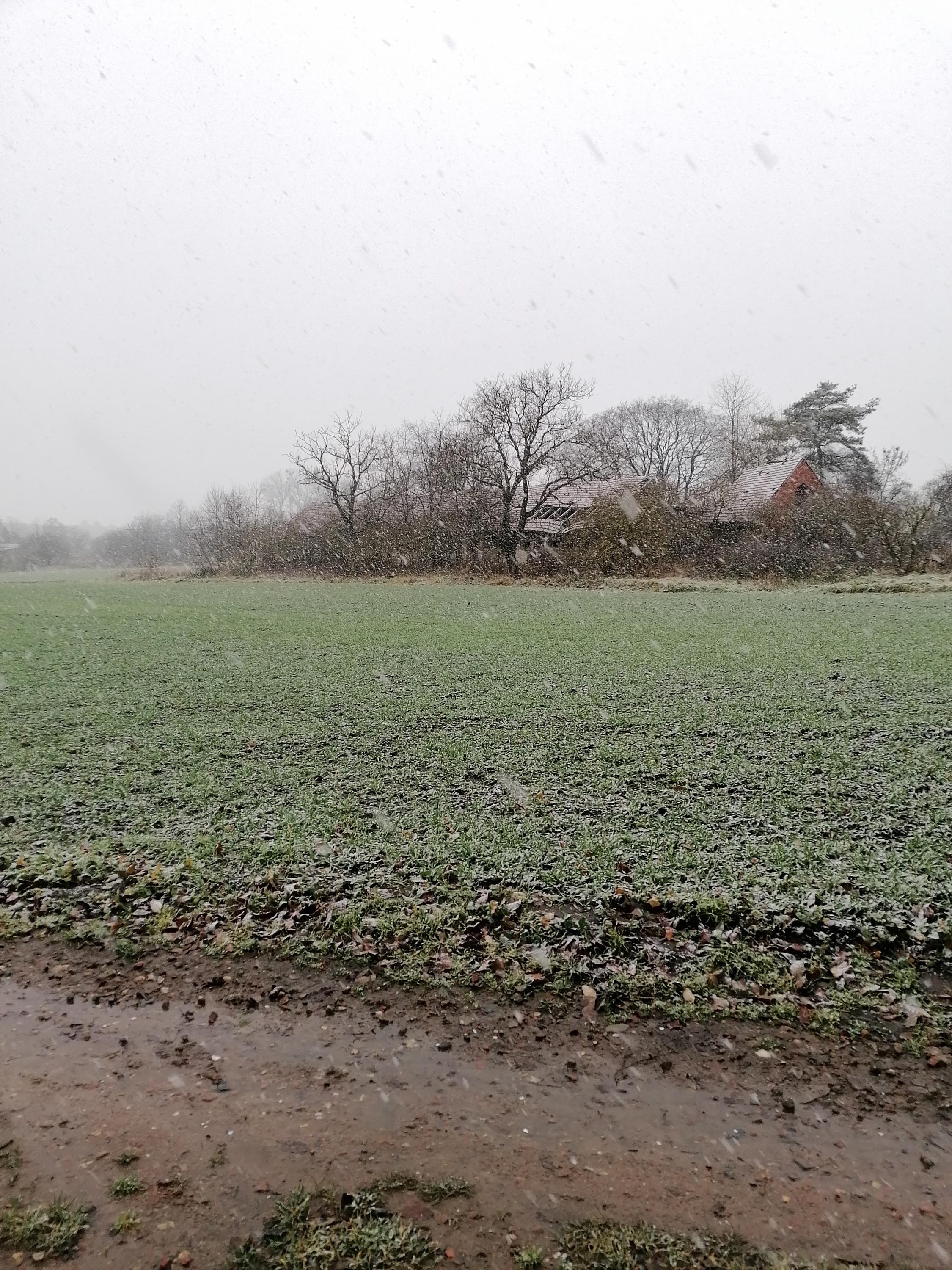 Iveta Navrátilová foto 1