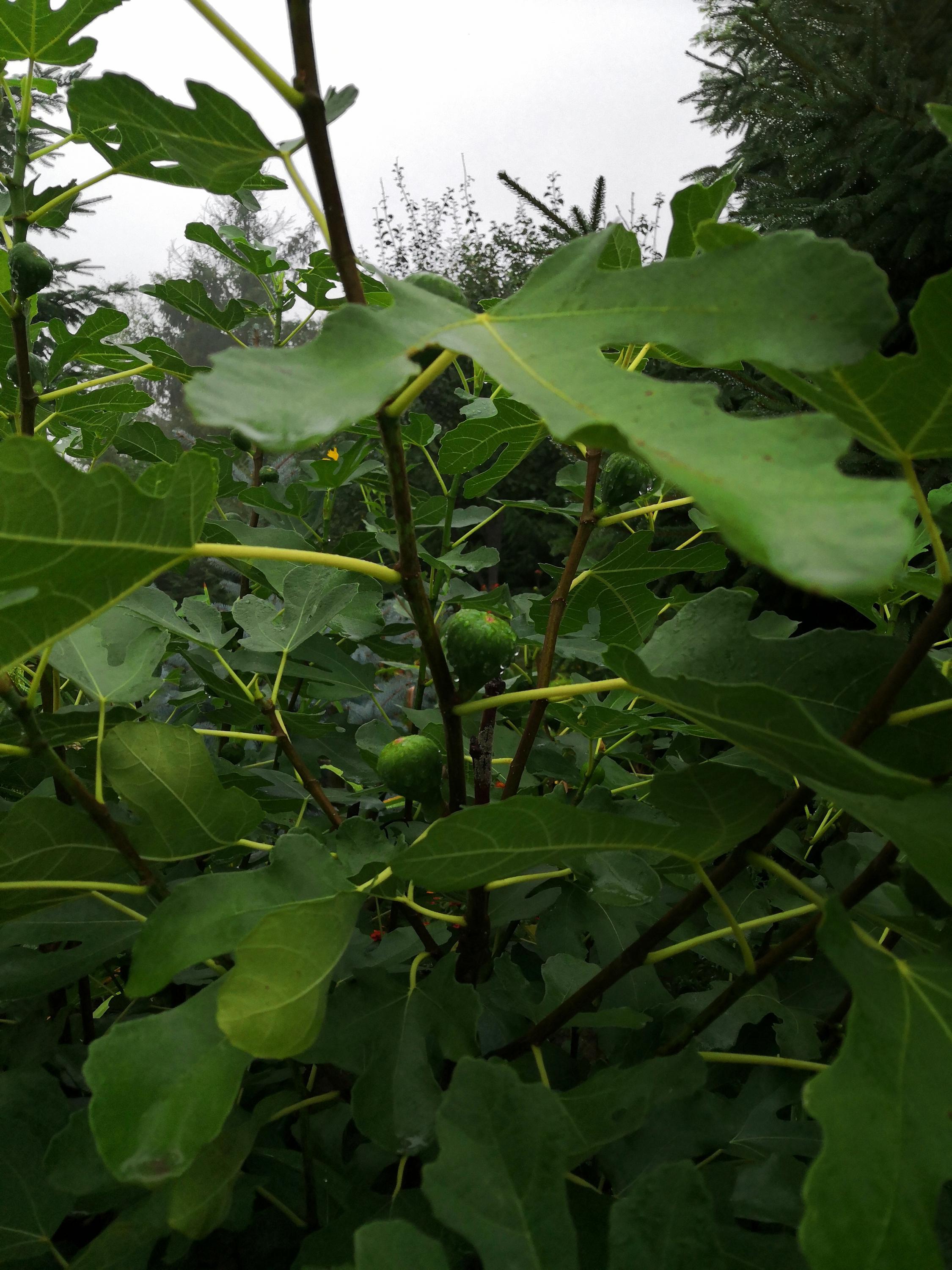 Penzion Slunovrat foto 3