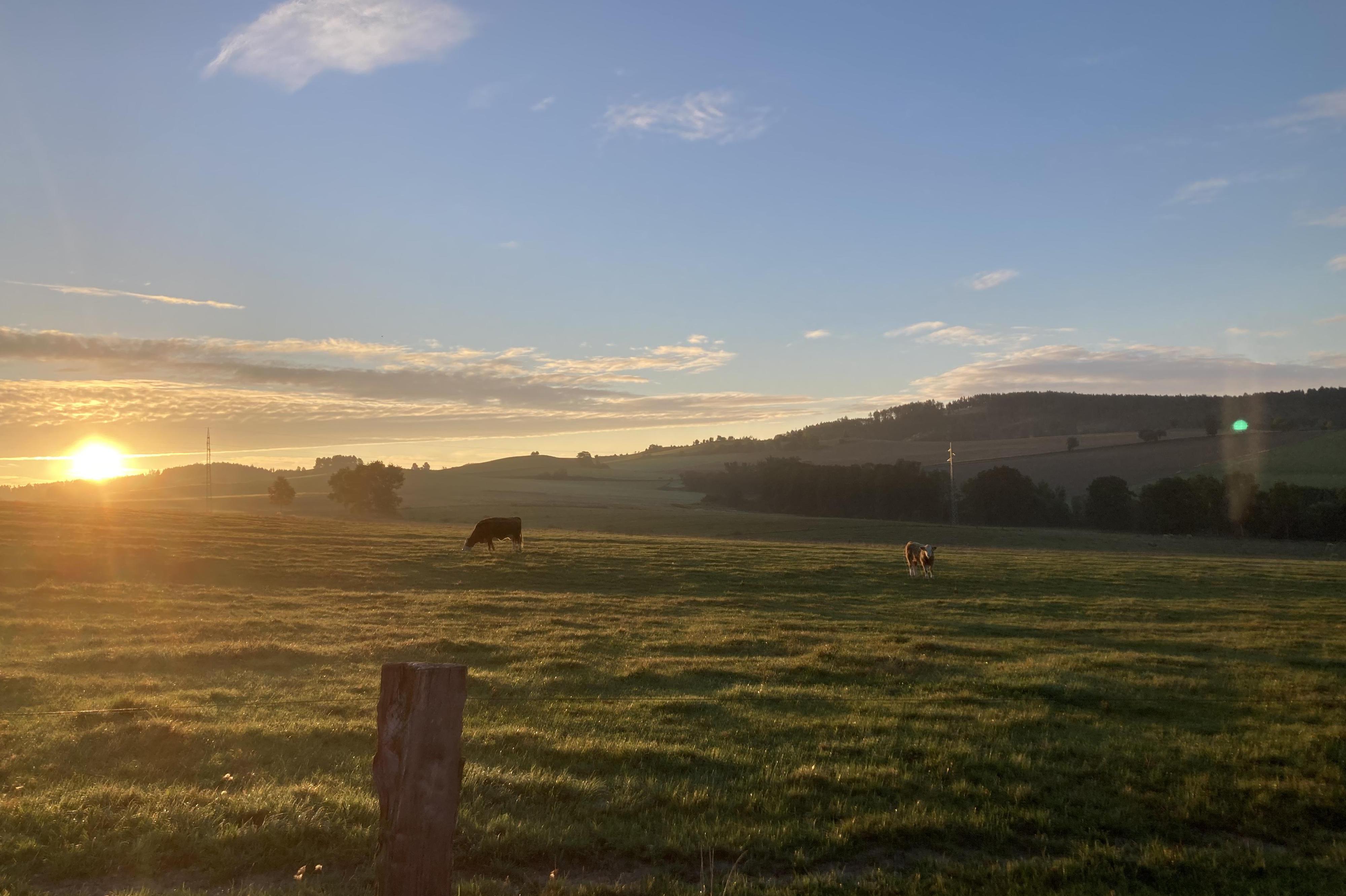 Biofarma - Janouškovi