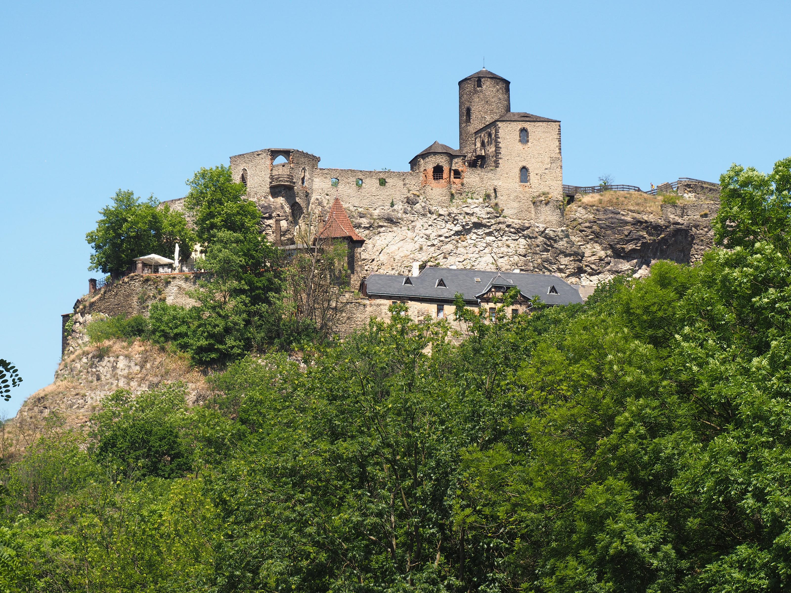 Koně pod hradem Střekovem foto 4