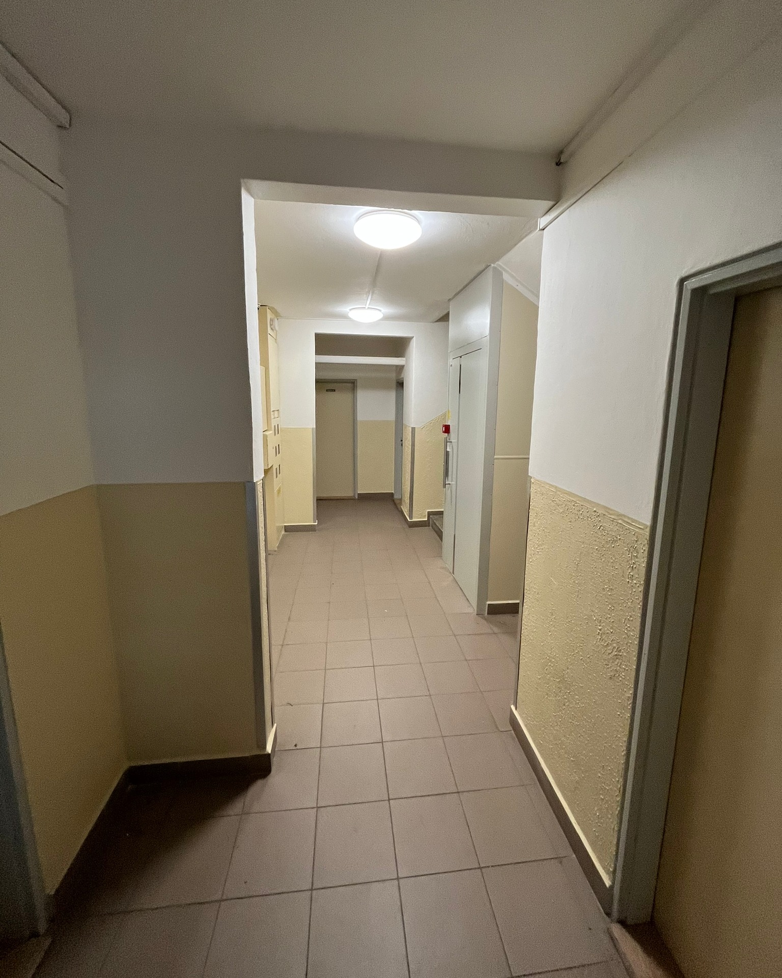 Novák - Malířství foto 2