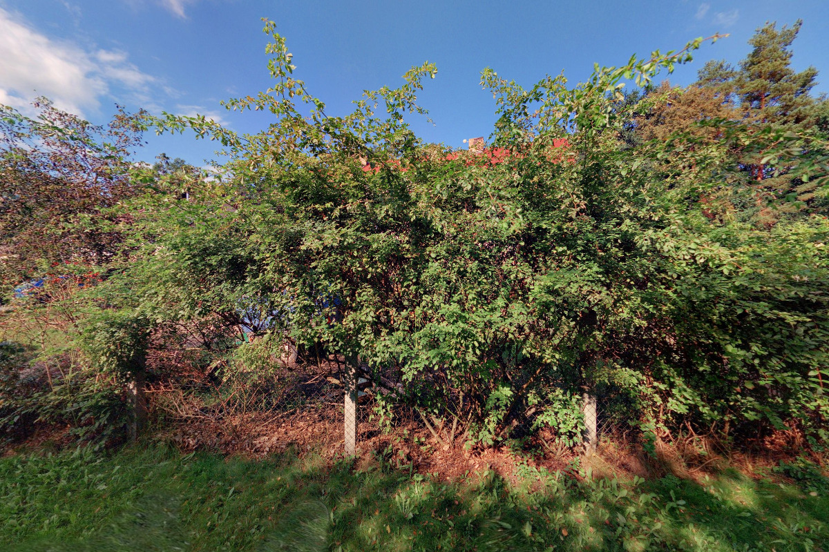 Autodoprava a zemní práce Tesař Michal foto 5