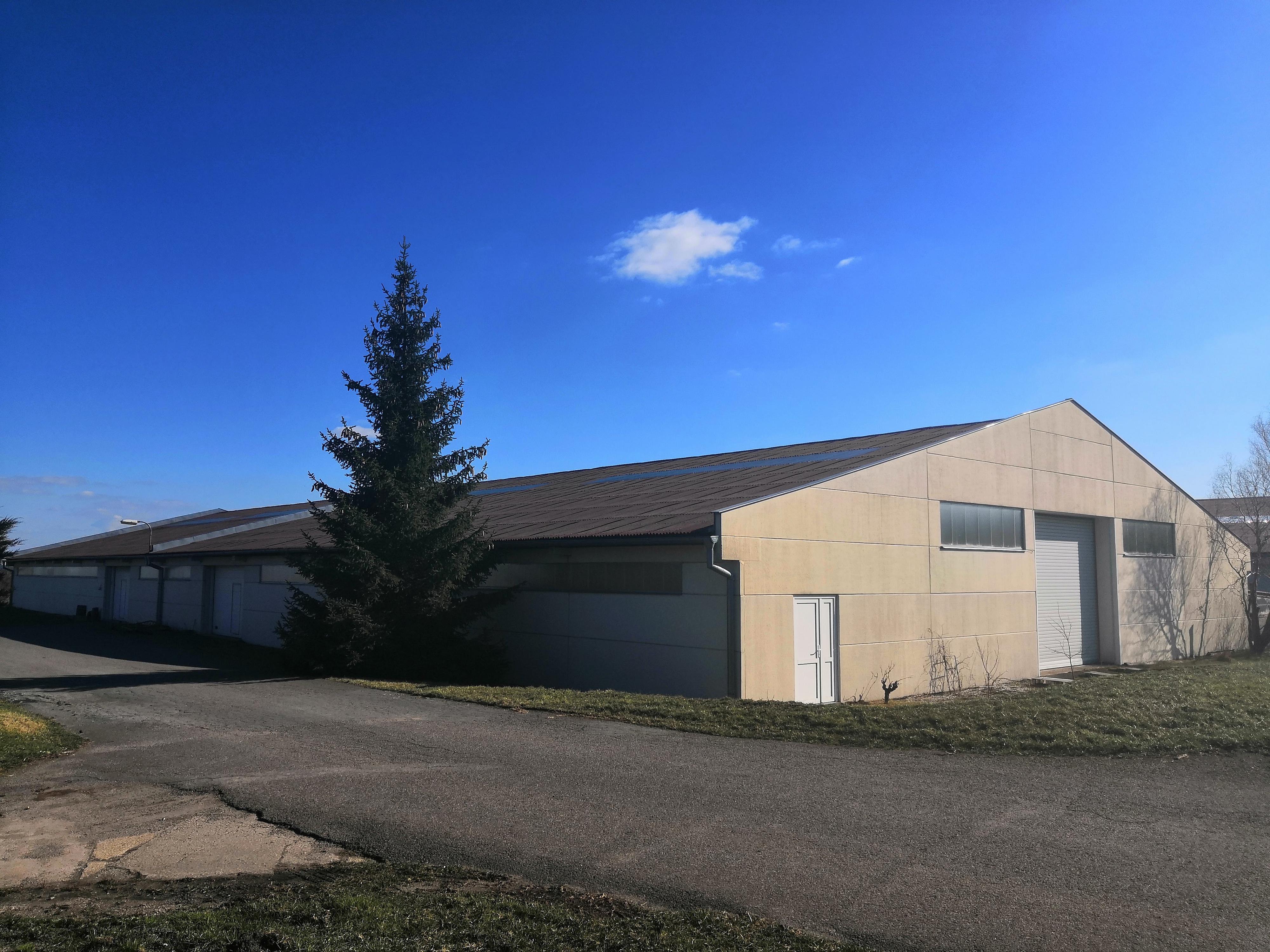 František Němec a Jana Němcová foto 2