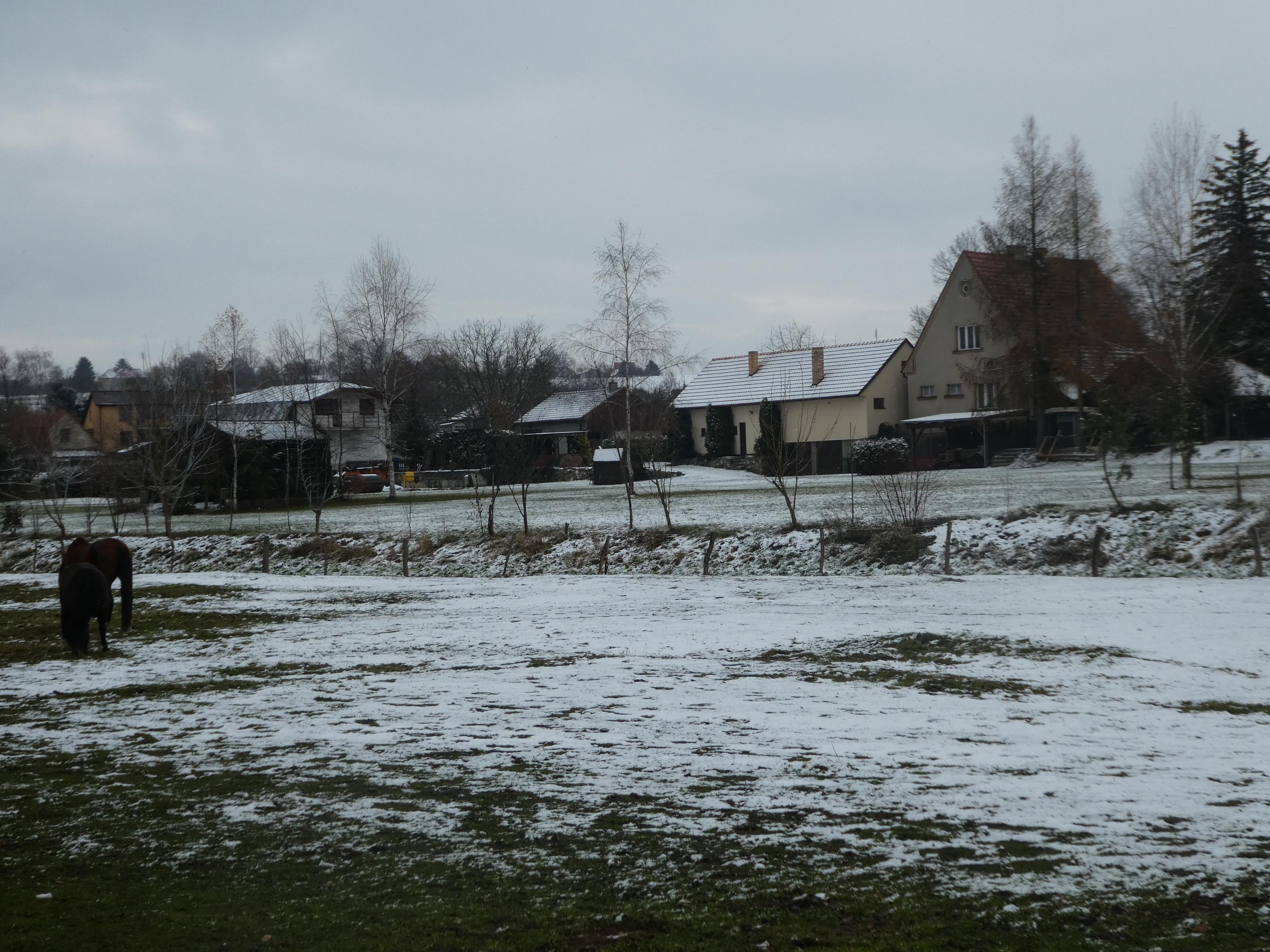 Ubytování Roudná u Lužnice foto 2