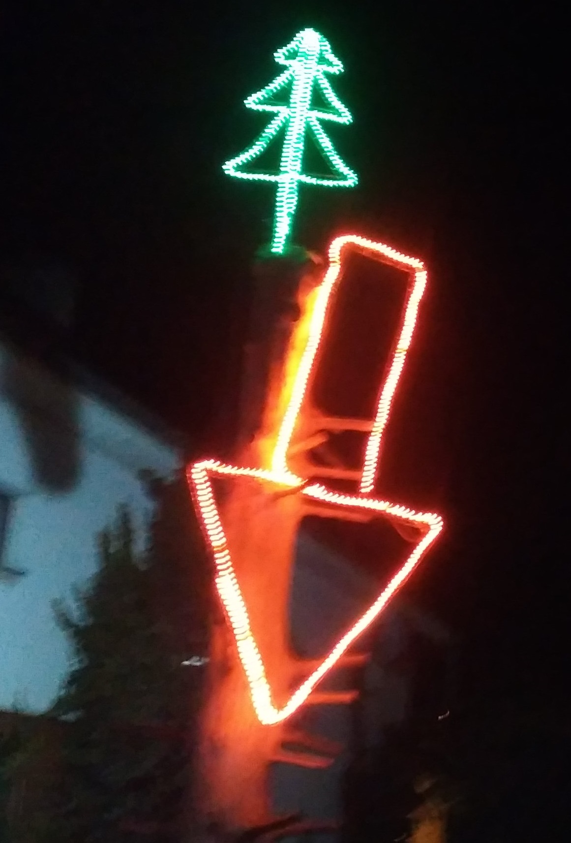 Vánoční stromky u Mišáků na dvoře foto 2