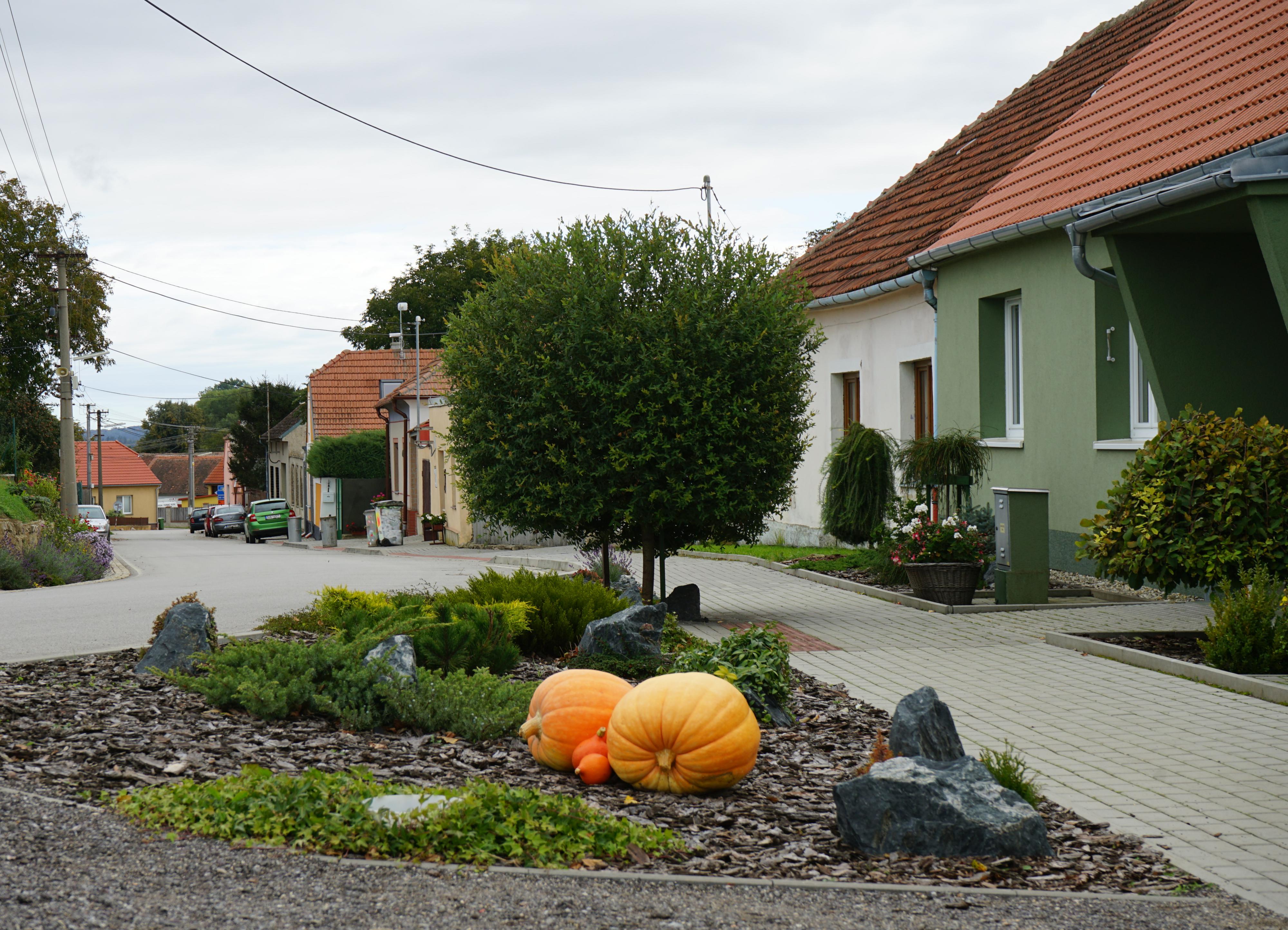Dolní Lažany - obecní úřad foto 2