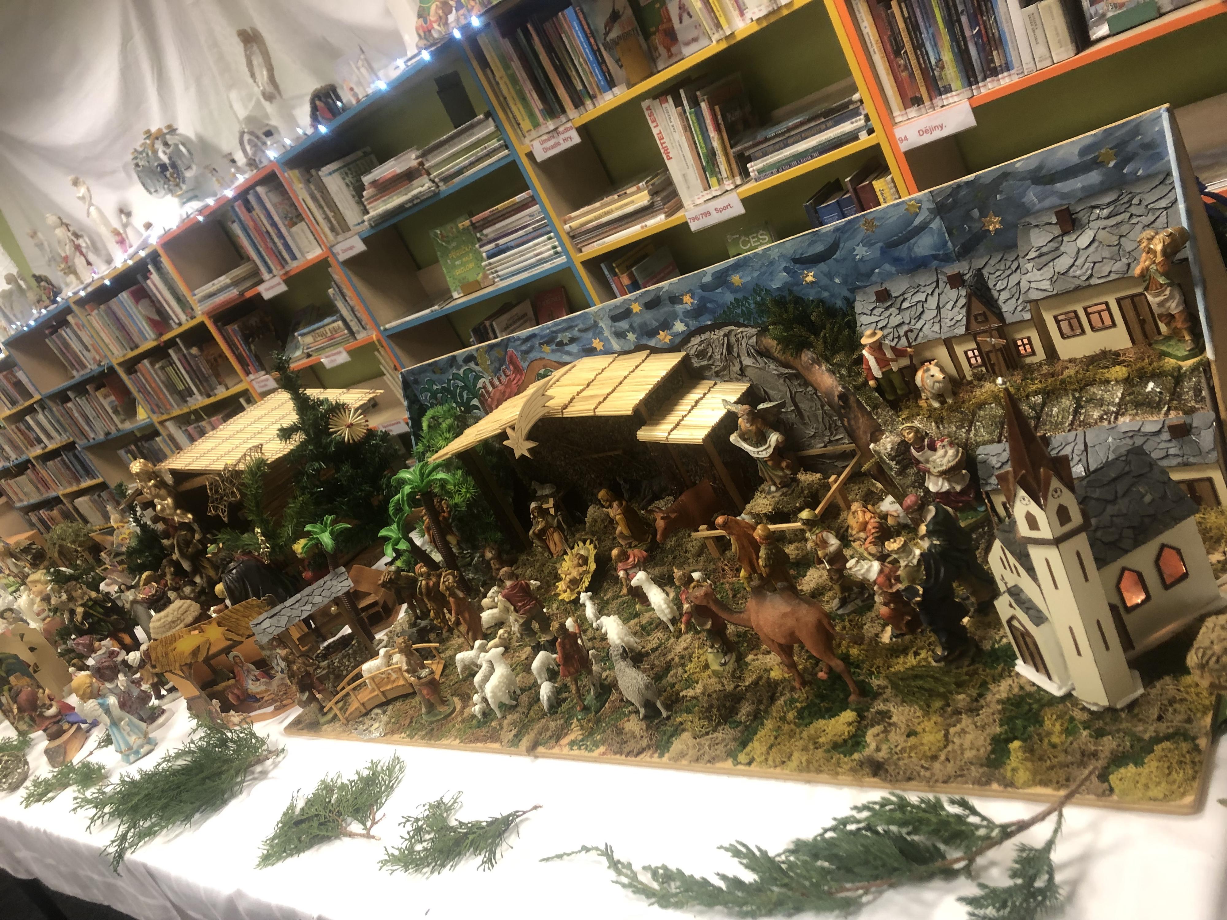 Místní knihovna v Dolním Němčí foto 6