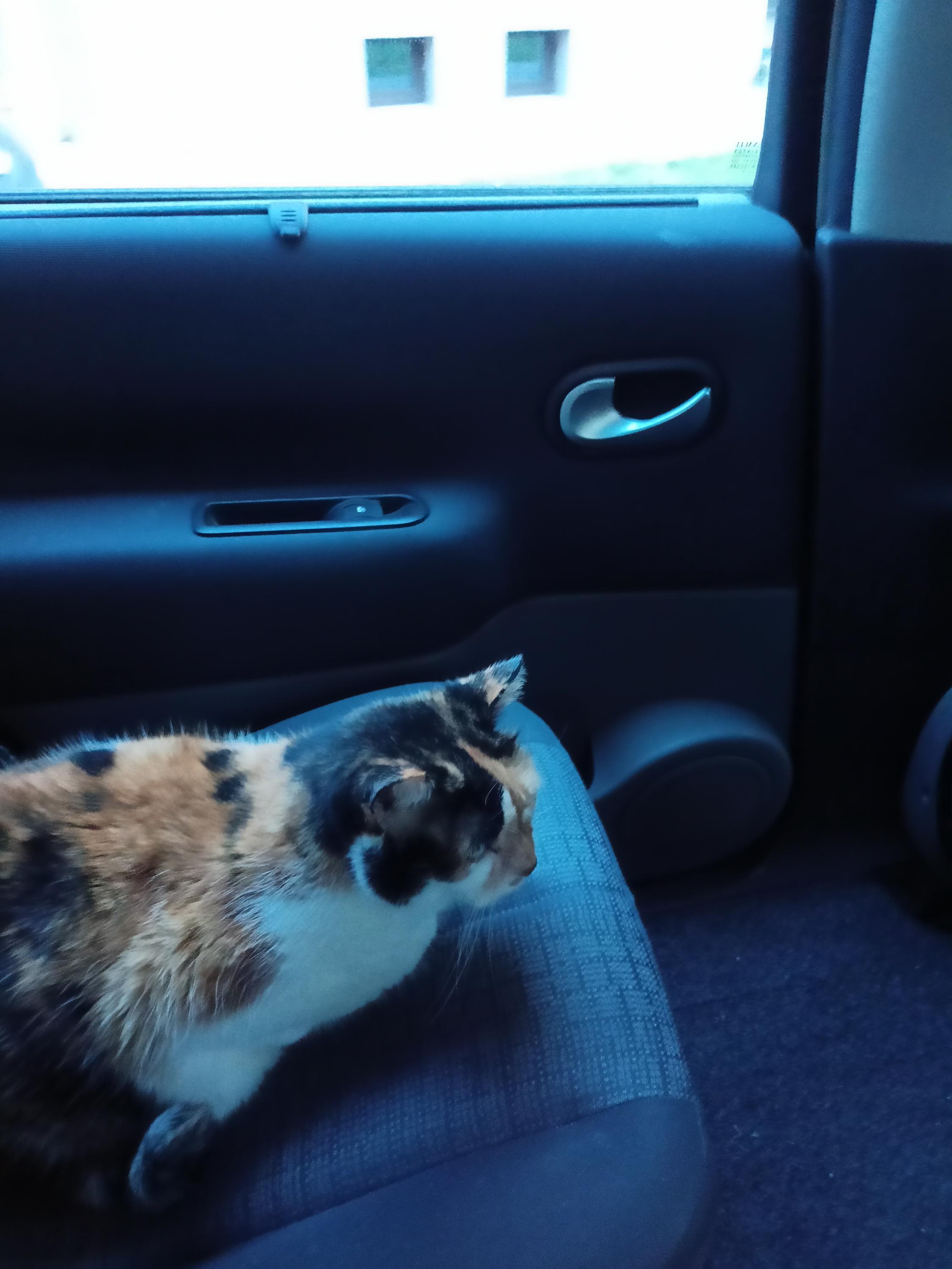 Veterinární ambulance u Luny foto 2