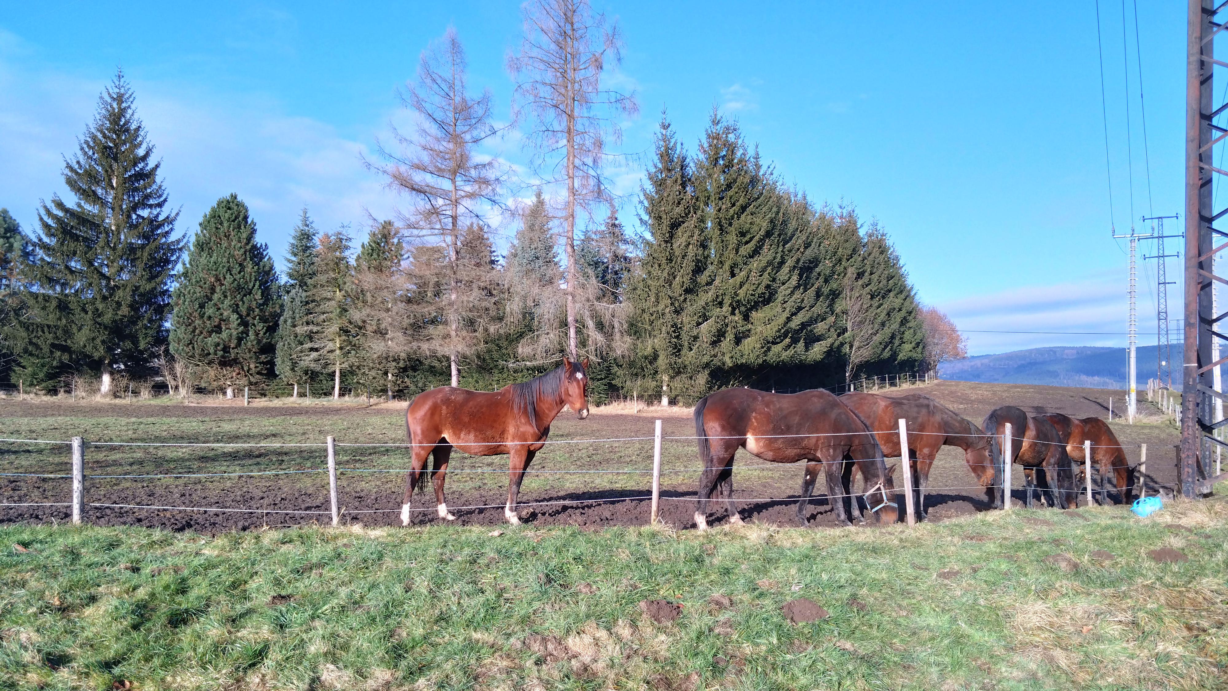 Jízdárna Zámek Skalice foto 5