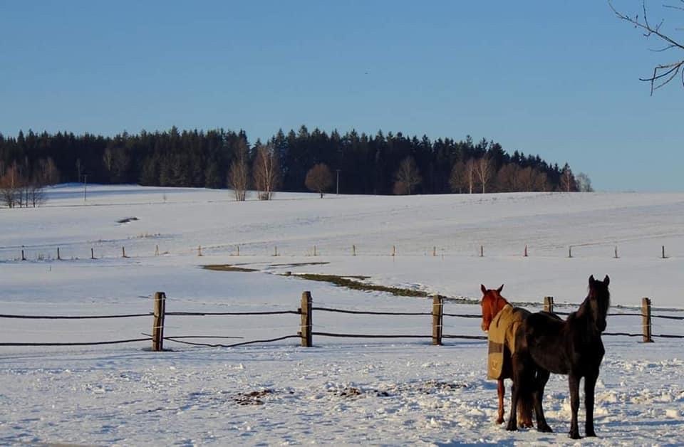 Stáj Bašata Studnice foto 2