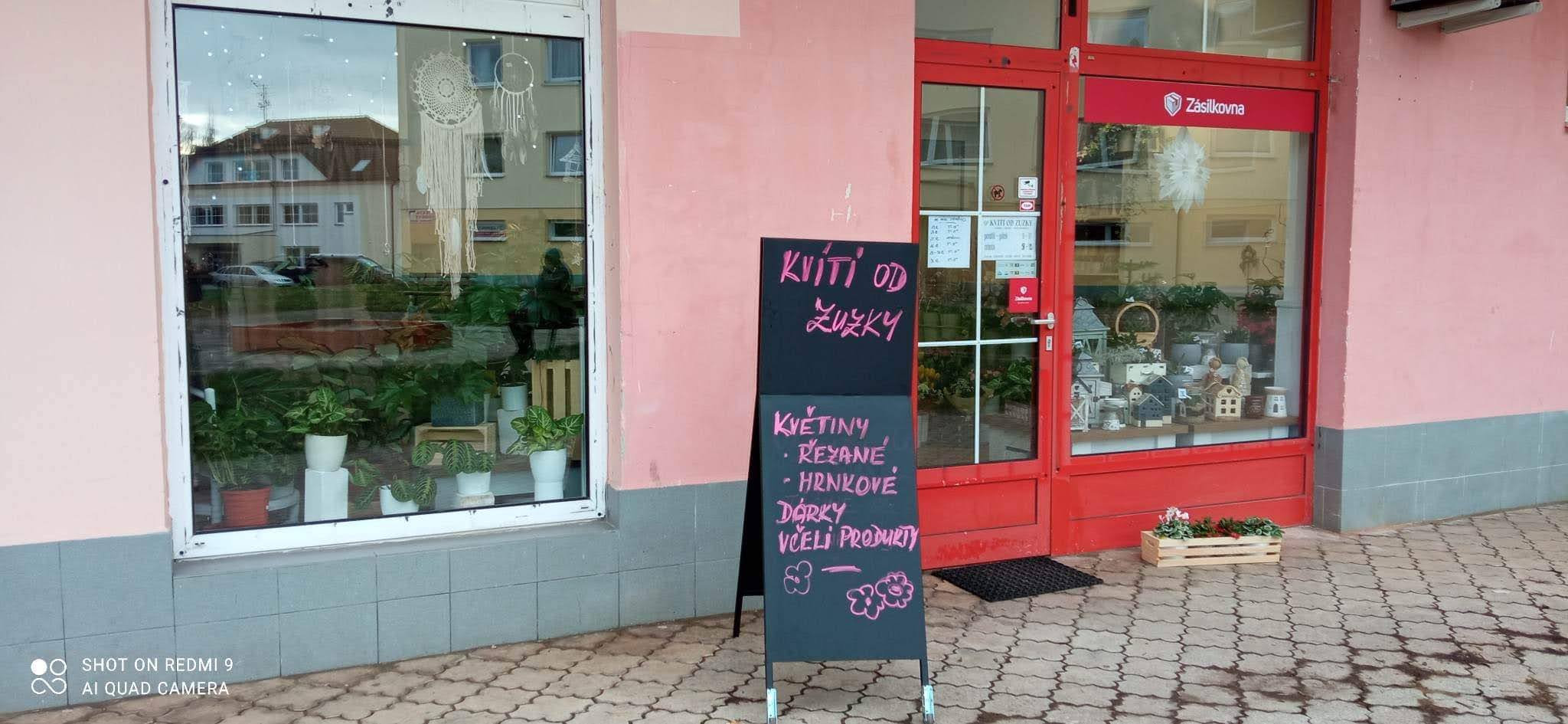 Kvítí od Zuzky foto 2
