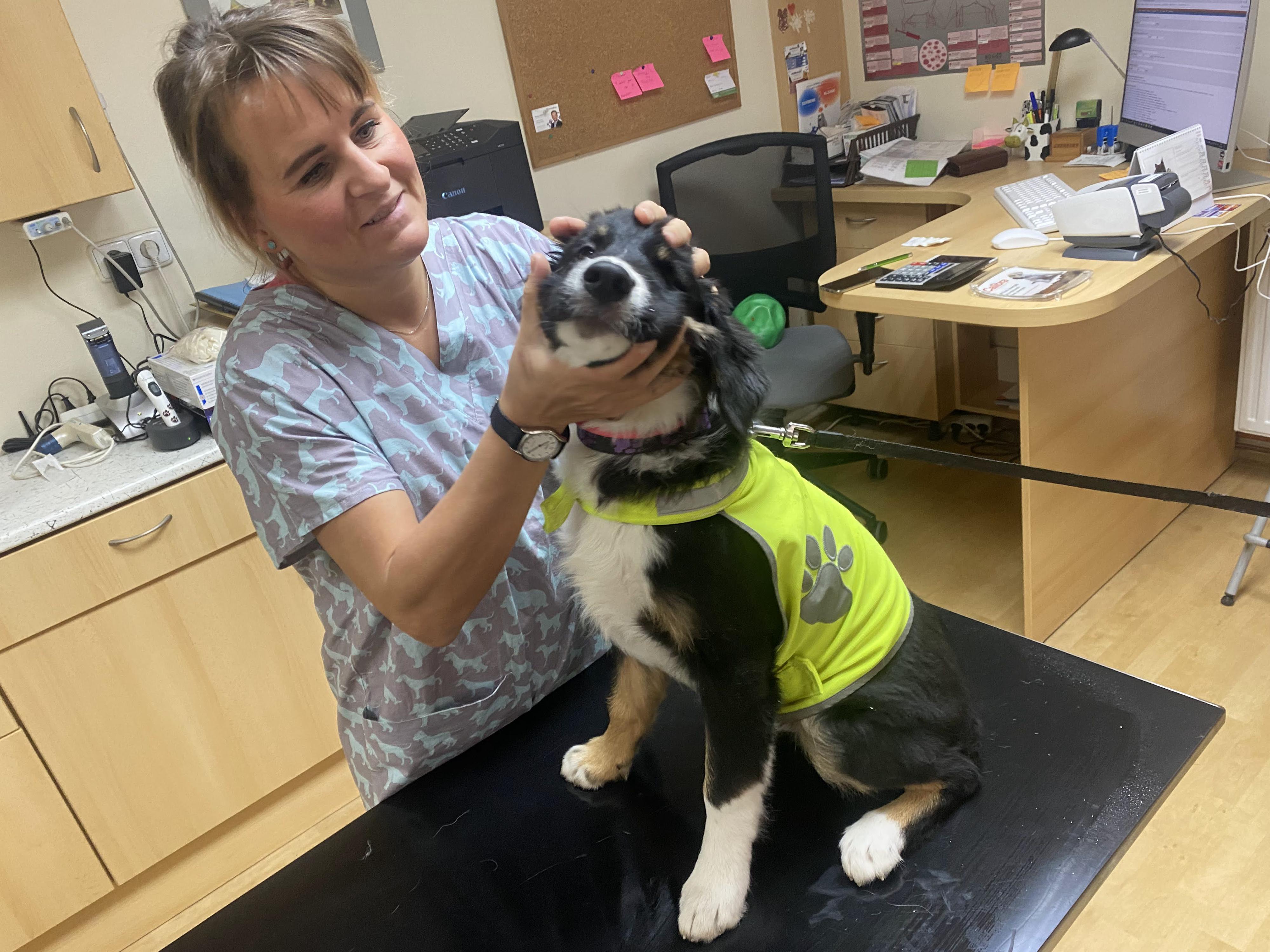 Veterinární ordinace kubeVET foto 4