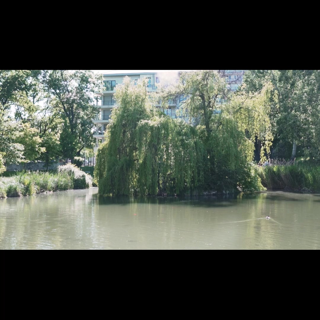 Dvořák&Petrášková reality foto 2 (náhled videa)