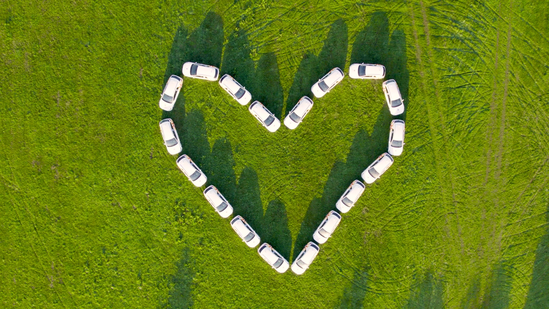 Unilabs (AeskuLab) - odběry krve foto 2 (náhled videa)