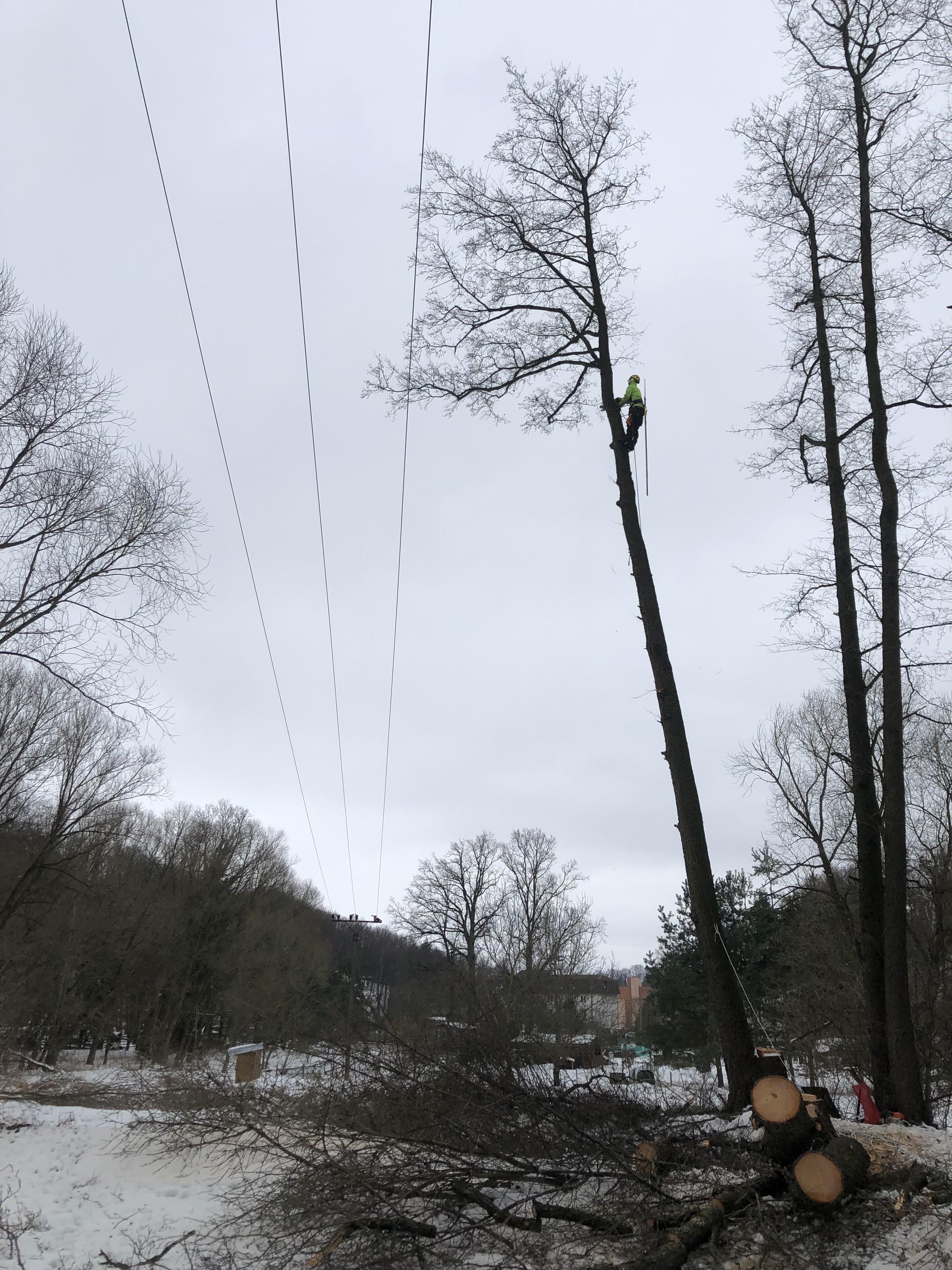 Milan Jurišica - CUTTING & CLIMBING foto 5