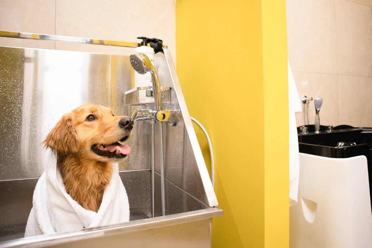 ZVĚROKRUH Salón pro domácí mazlíčky