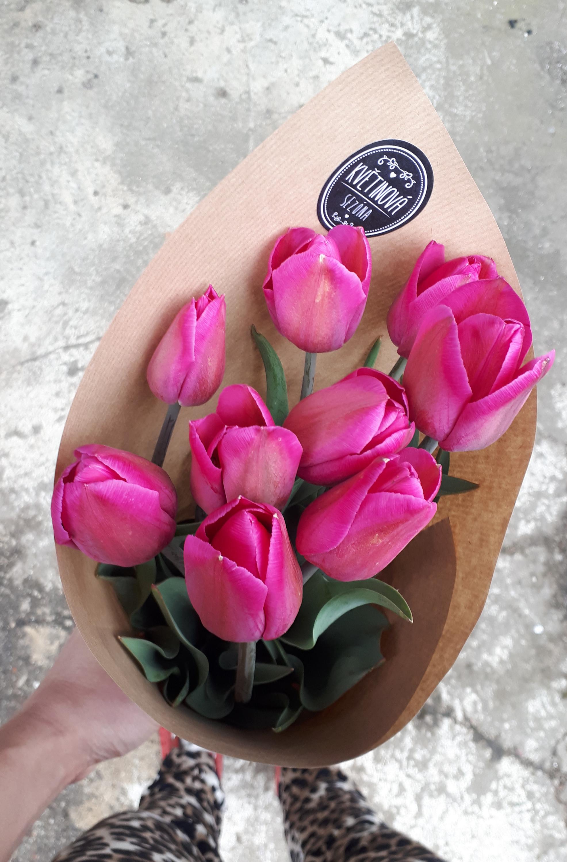 KVĚTINOVÁ SEZÓNA foto 6