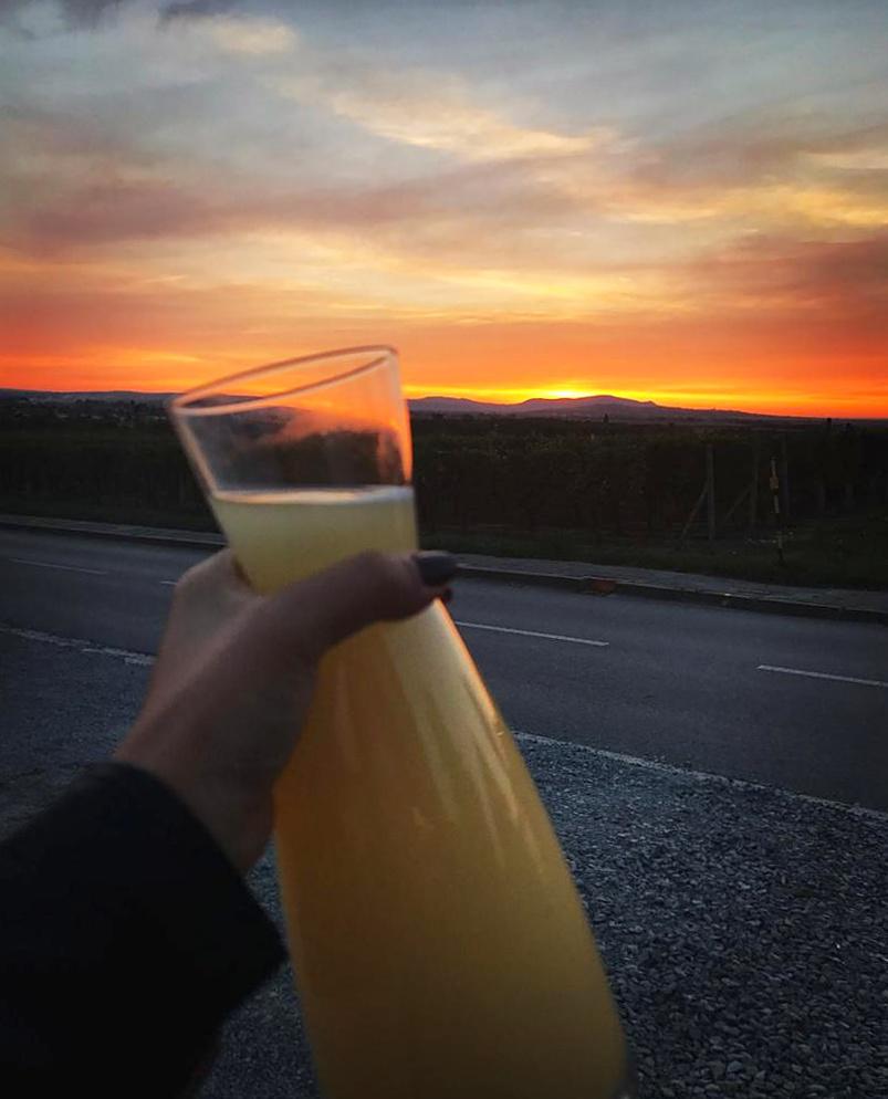 Vinařství Vladimír Tetur - ubytování foto 3