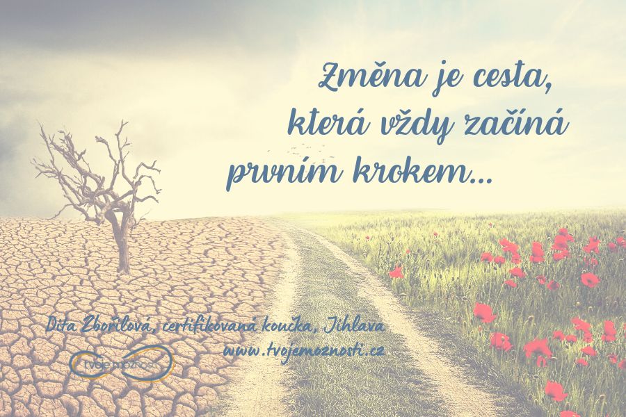 Tvoje možnosti Dita Zbořilová foto 4