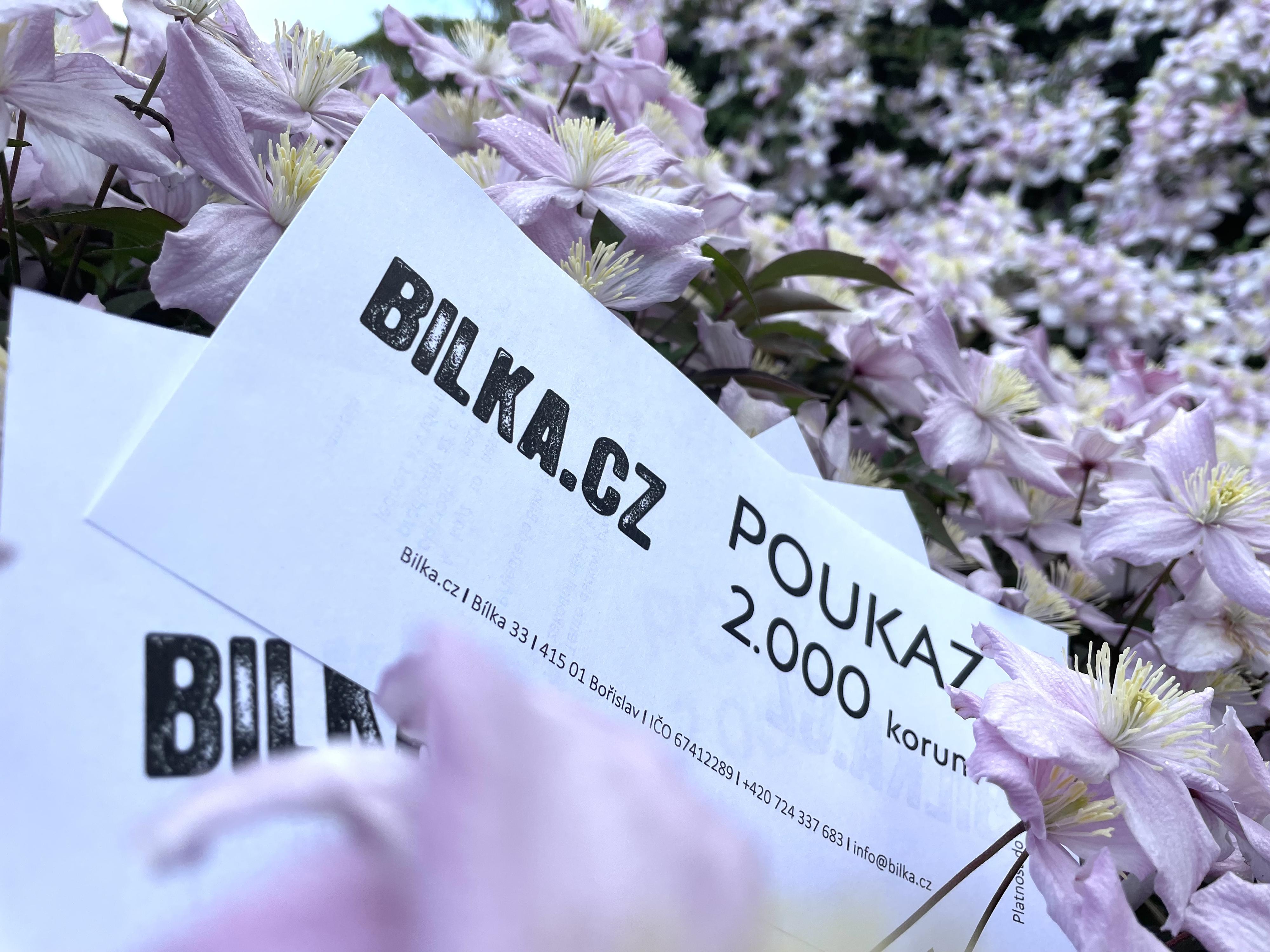 Bilka.cz foto 6
