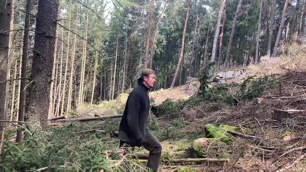 Lesní pohotovost Bartoš foto 2 (náhled videa)