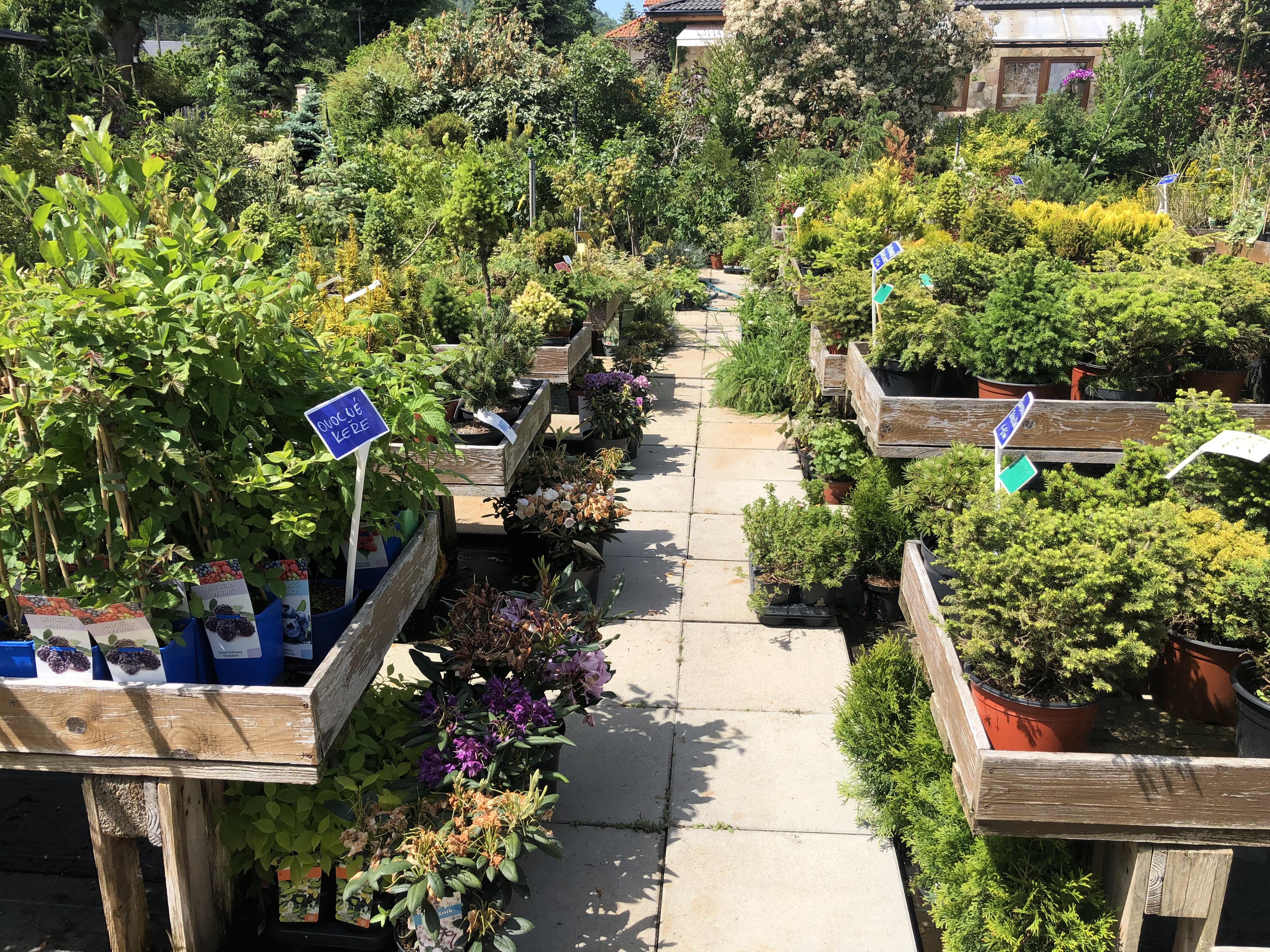 Zahradnictví Loučná