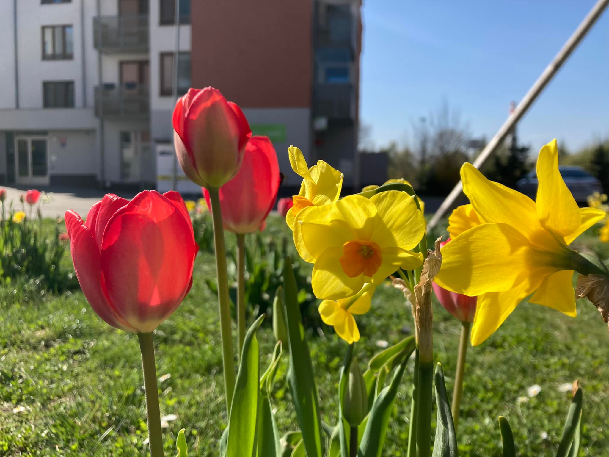 Náš Čakovický Okrašlovací Spolek foto 2