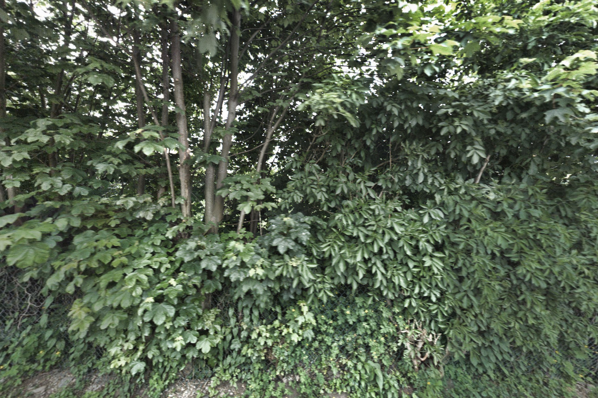 Apartmán Riverside Vrchlabí I
