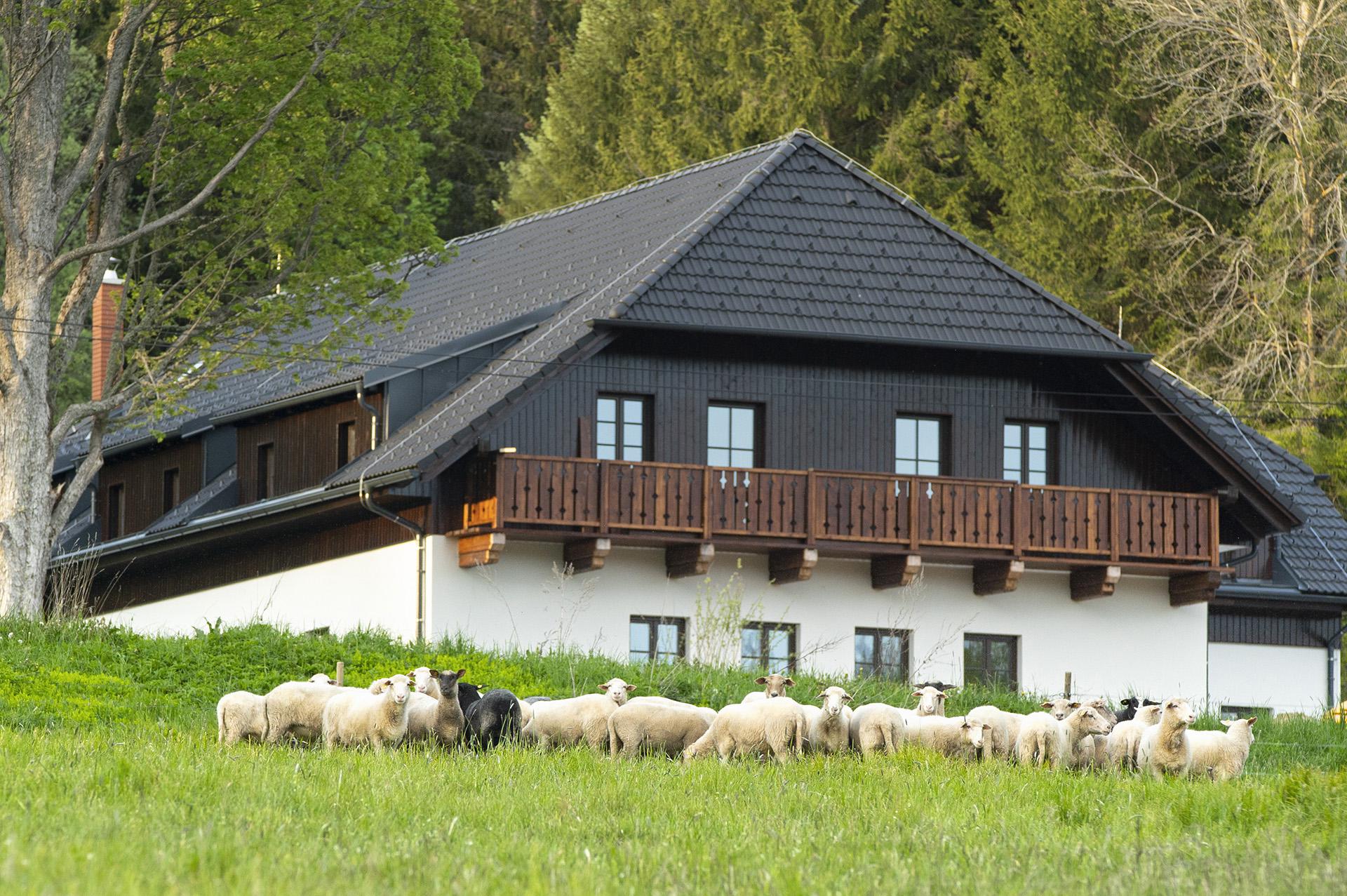 Dvůr Lískový vrch