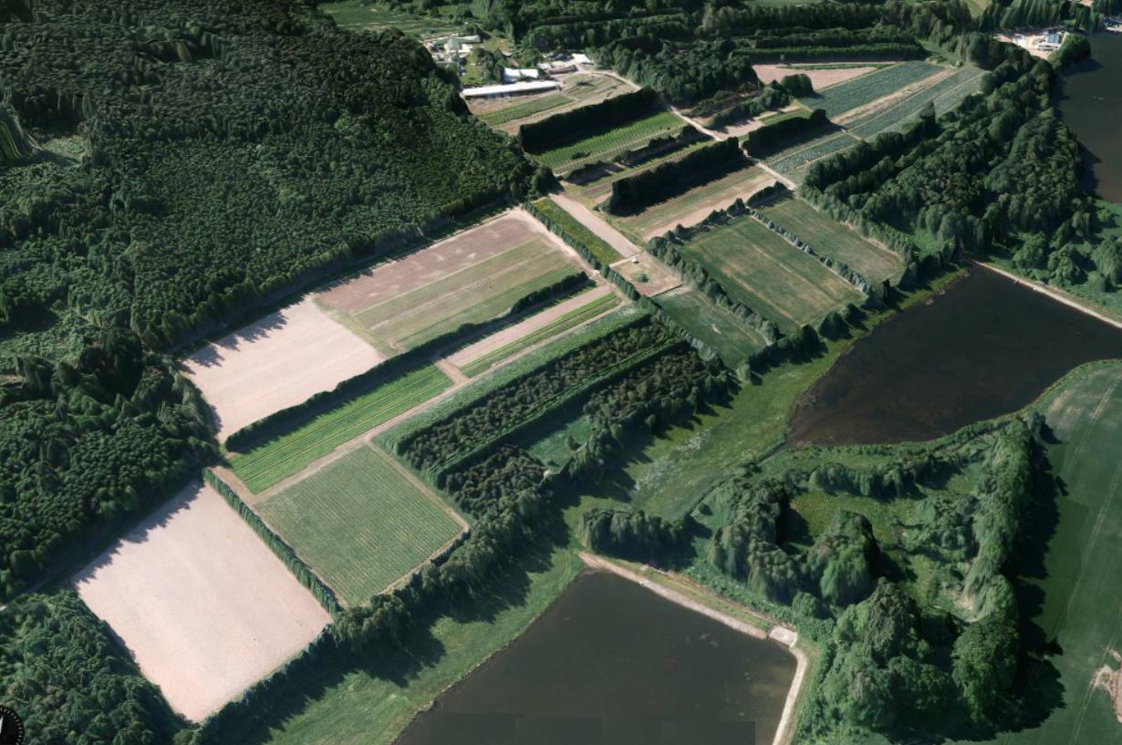 Lesní školka JOHANKA