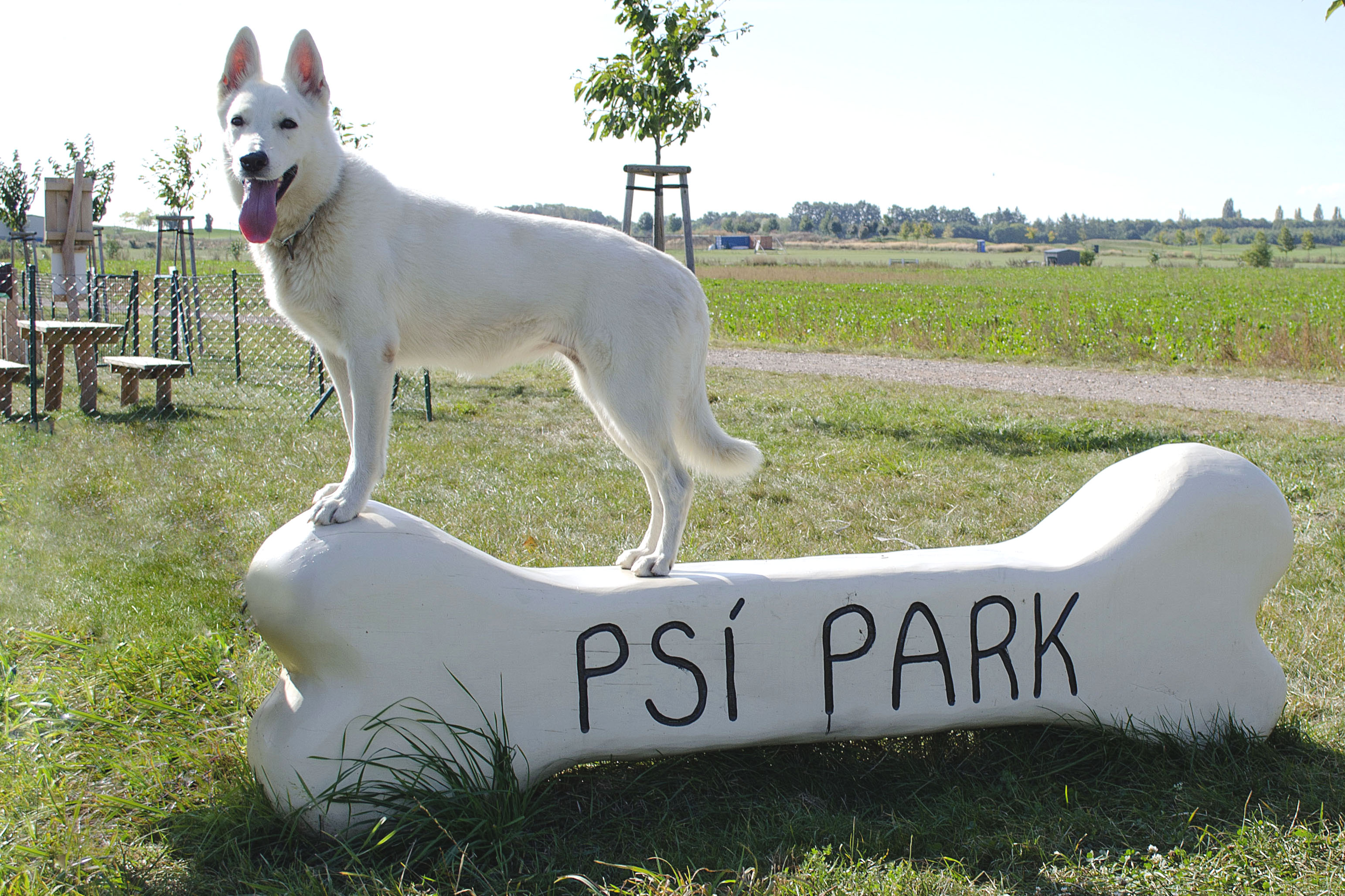 Hřiště pod Květinou s.r.o. foto 4