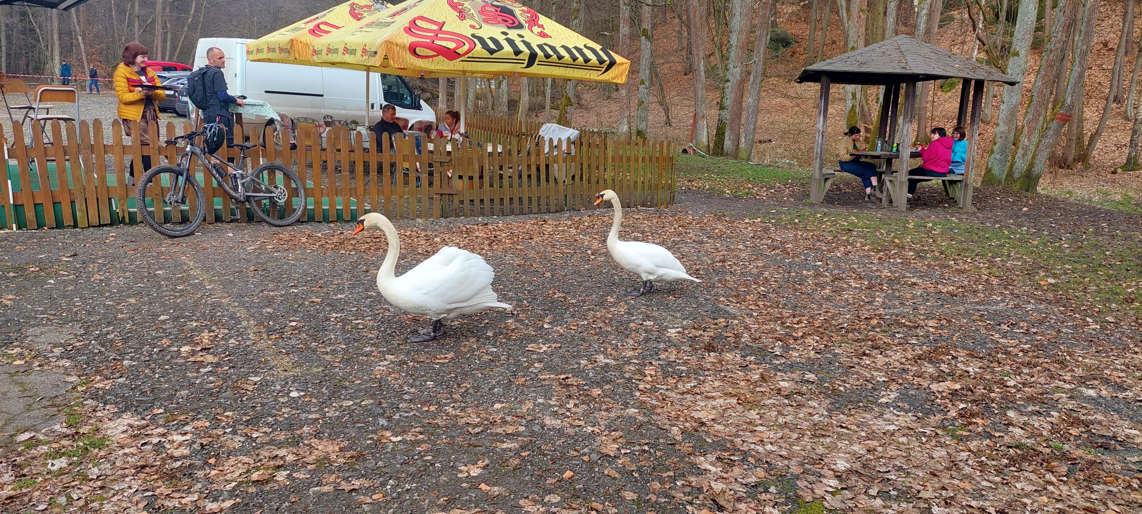 Občerstvení Vidlák foto 5