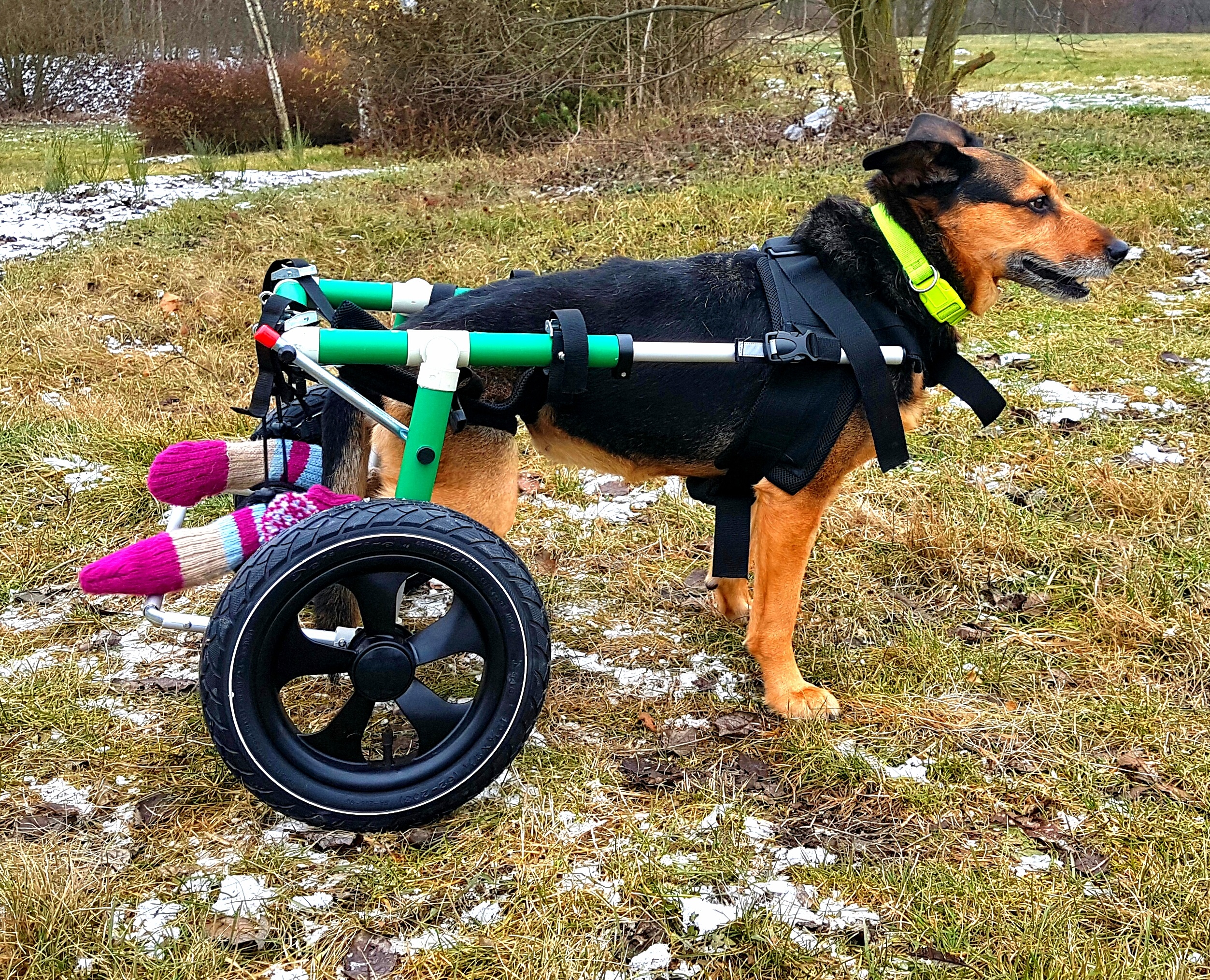 MONTY invalidní vozíky foto 4