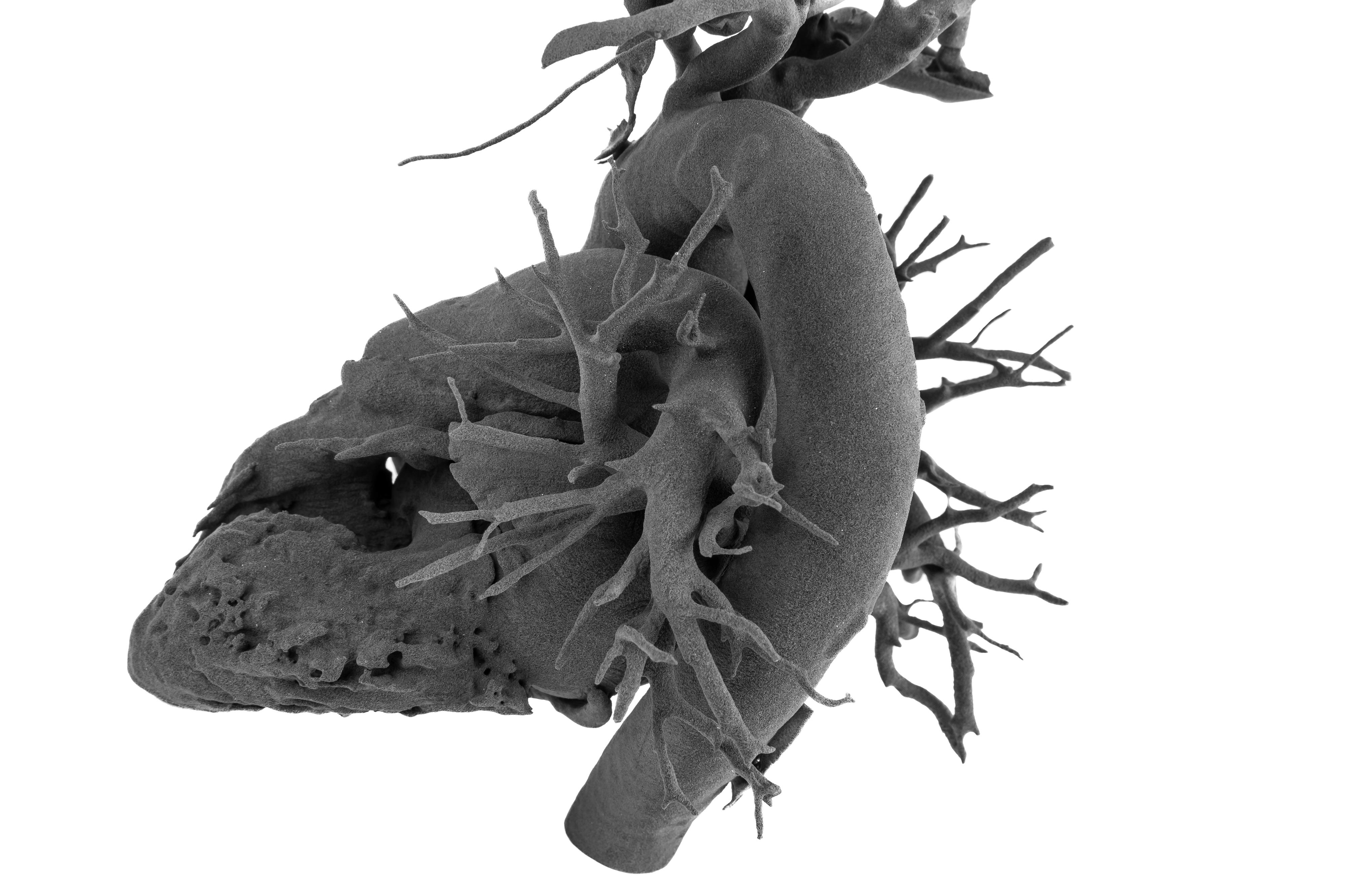 CADMIA 3D s.r.o. foto 6
