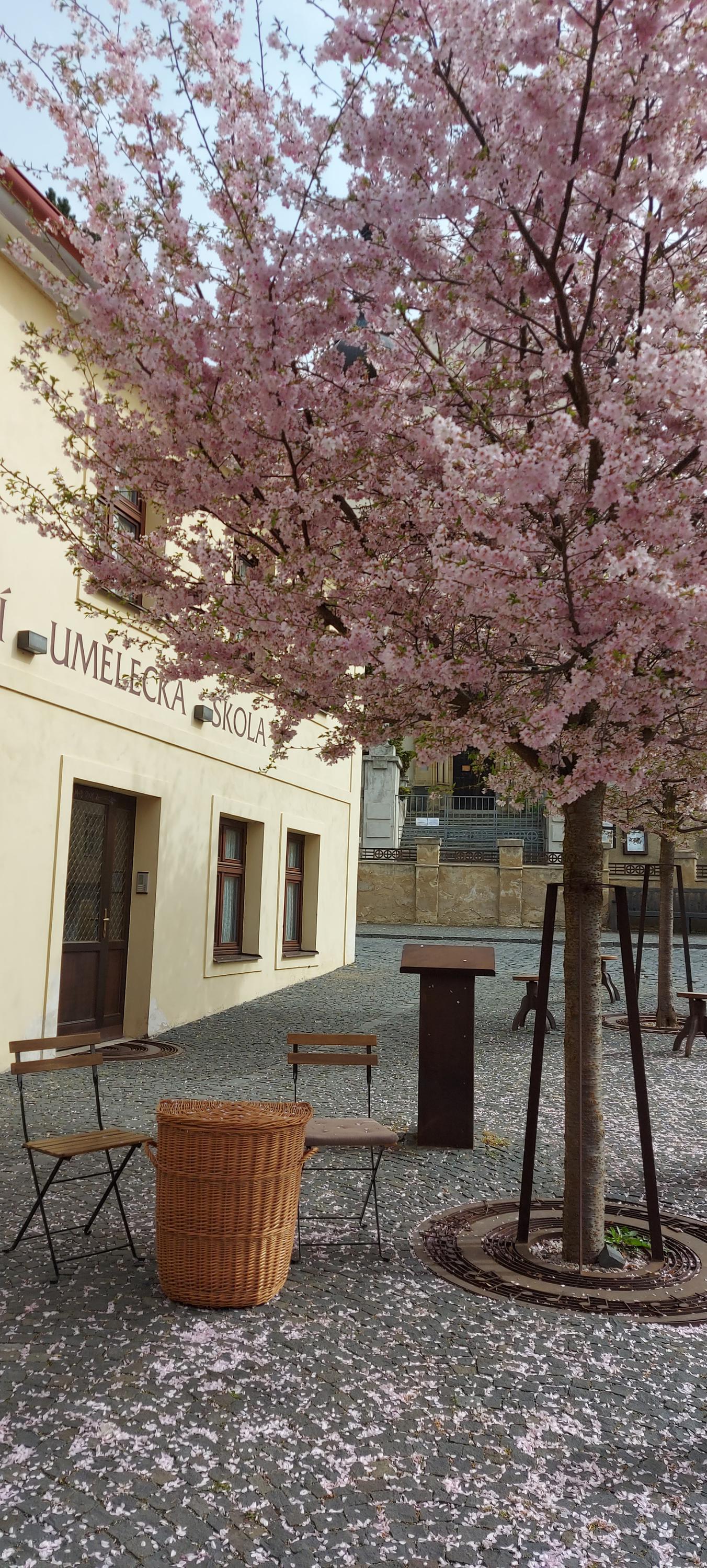 Perníkárna PerníKáča foto 4