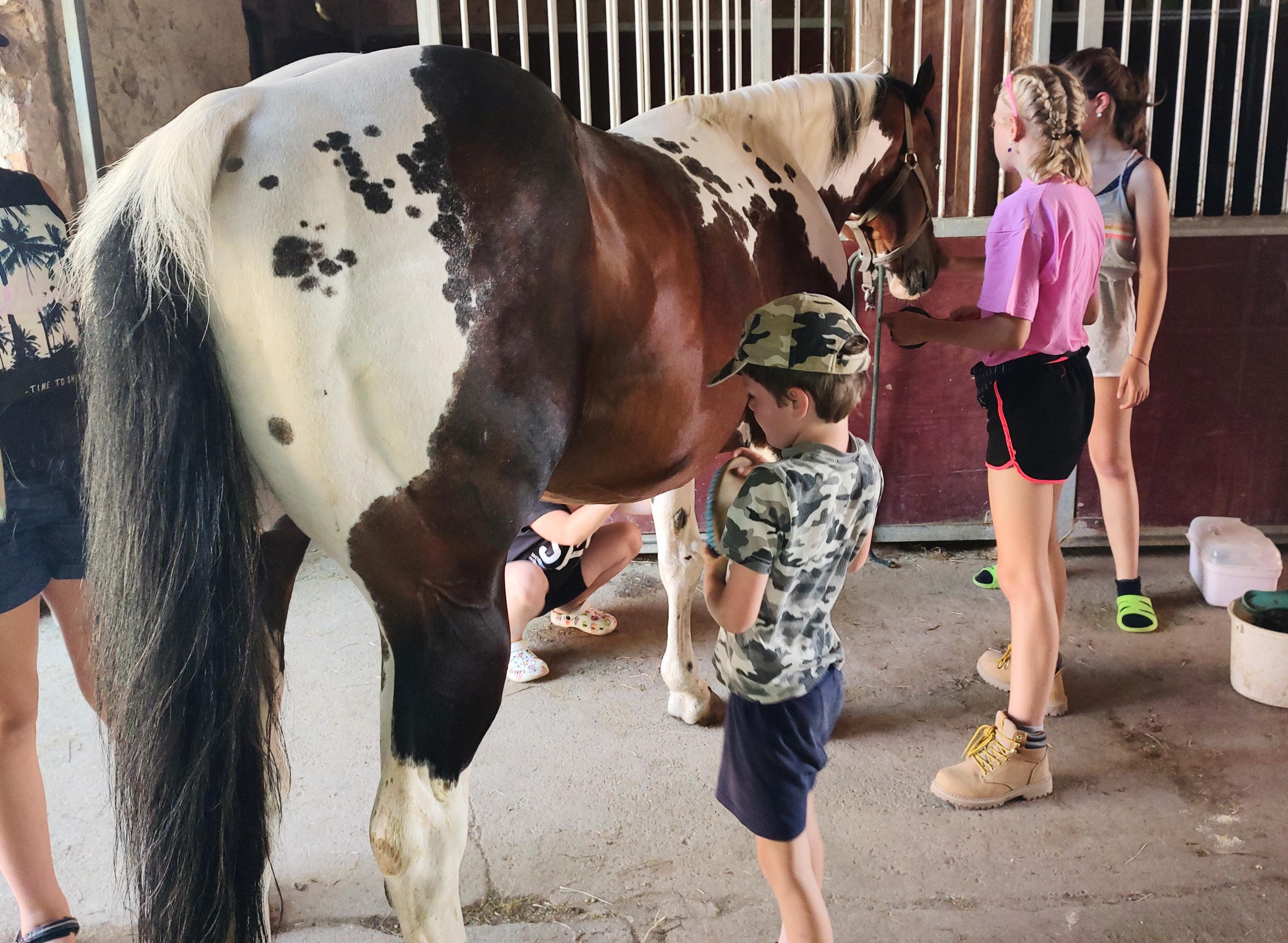 Ranč pod Jasany foto 4