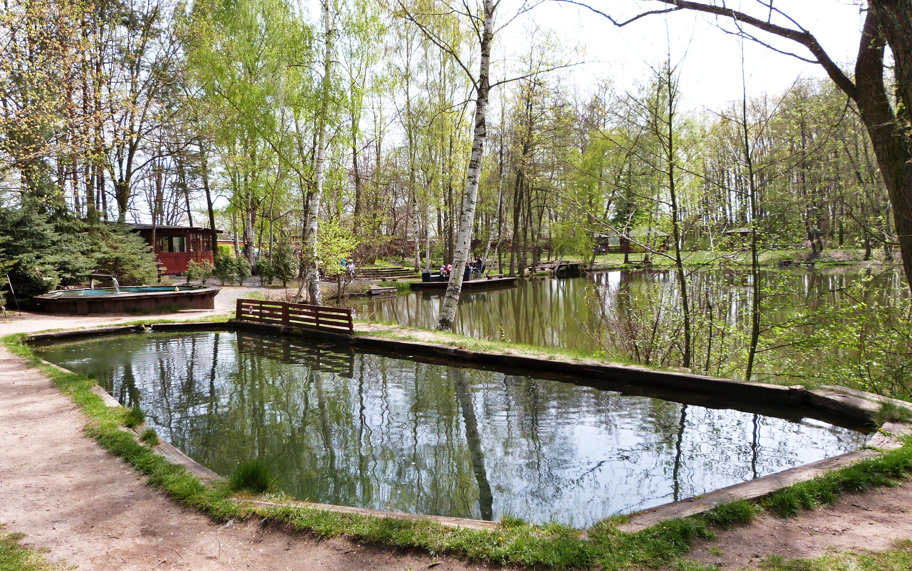 Rybolov pro děti Lázně Bohdaneč foto 4