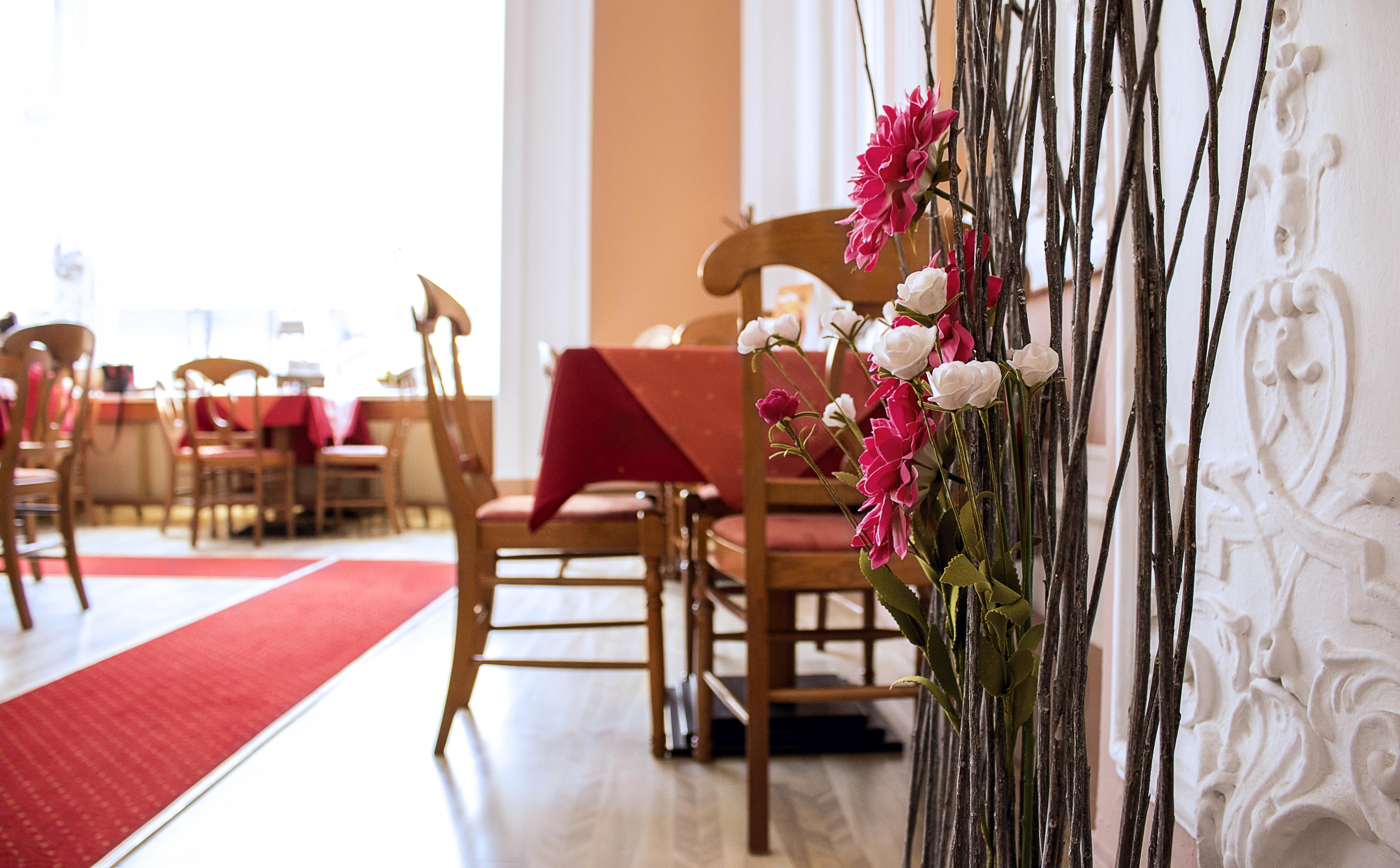 Kavárna Tosca - Lázeňský dům Tosca foto 5