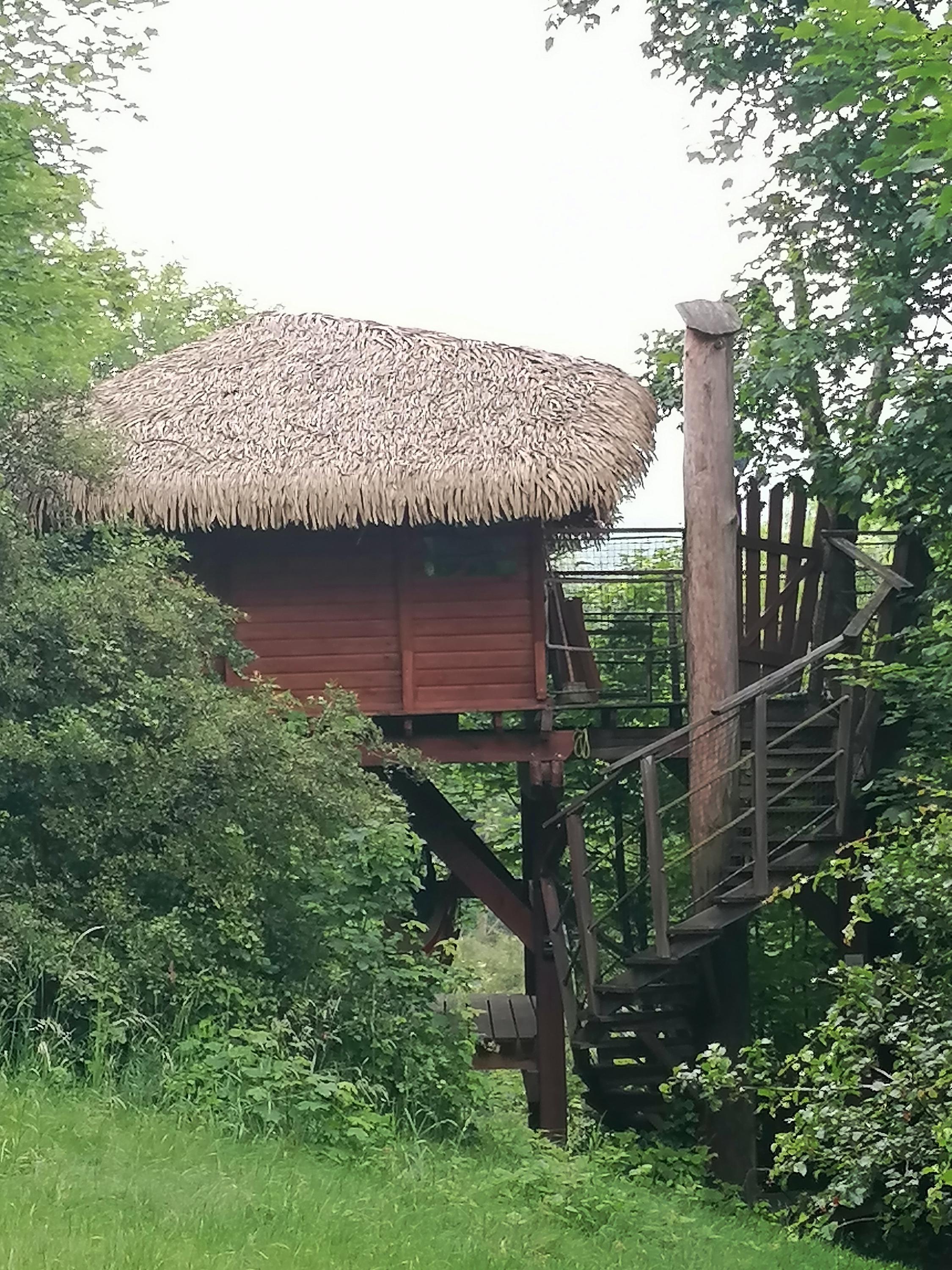 Treehouse Ještěd foto 6