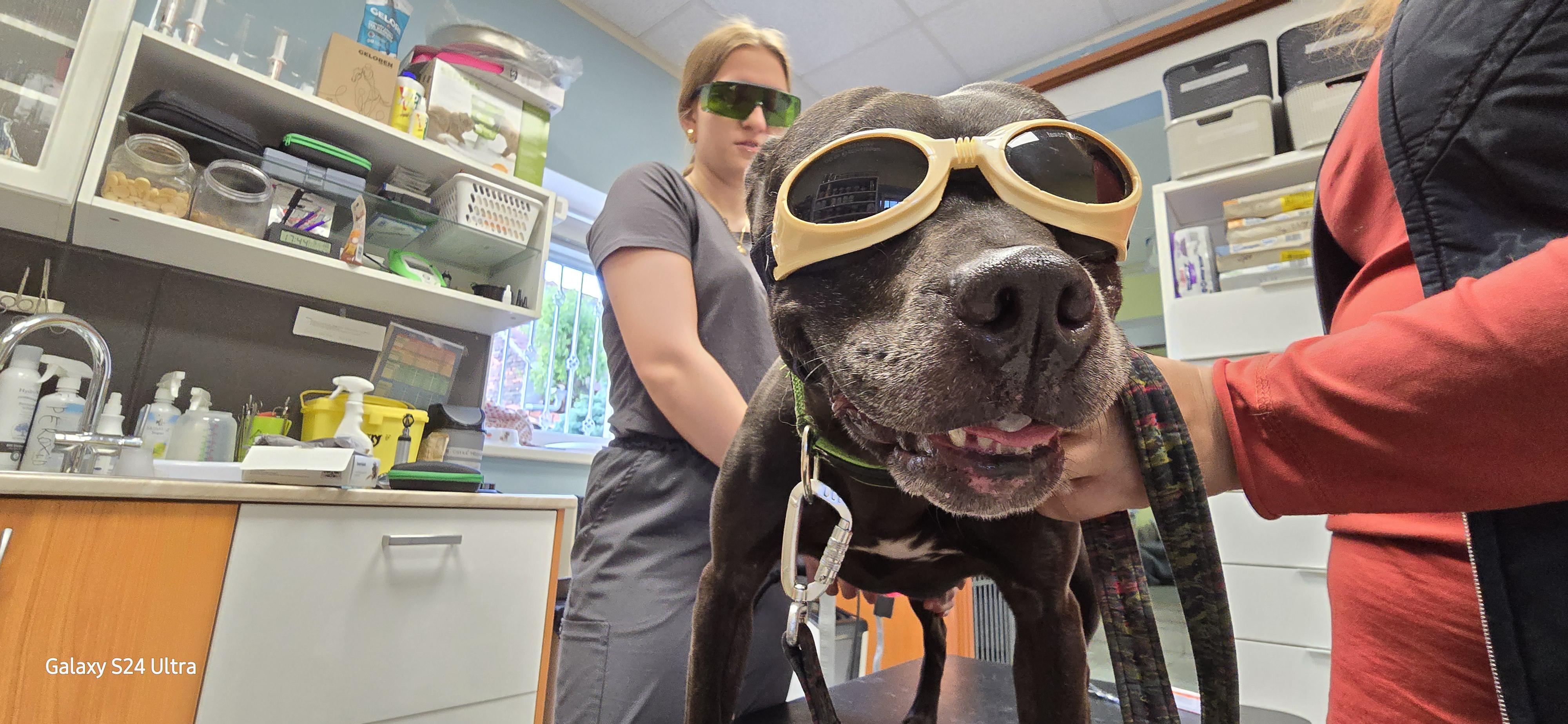 Veterinární ordinace Pečky foto 2