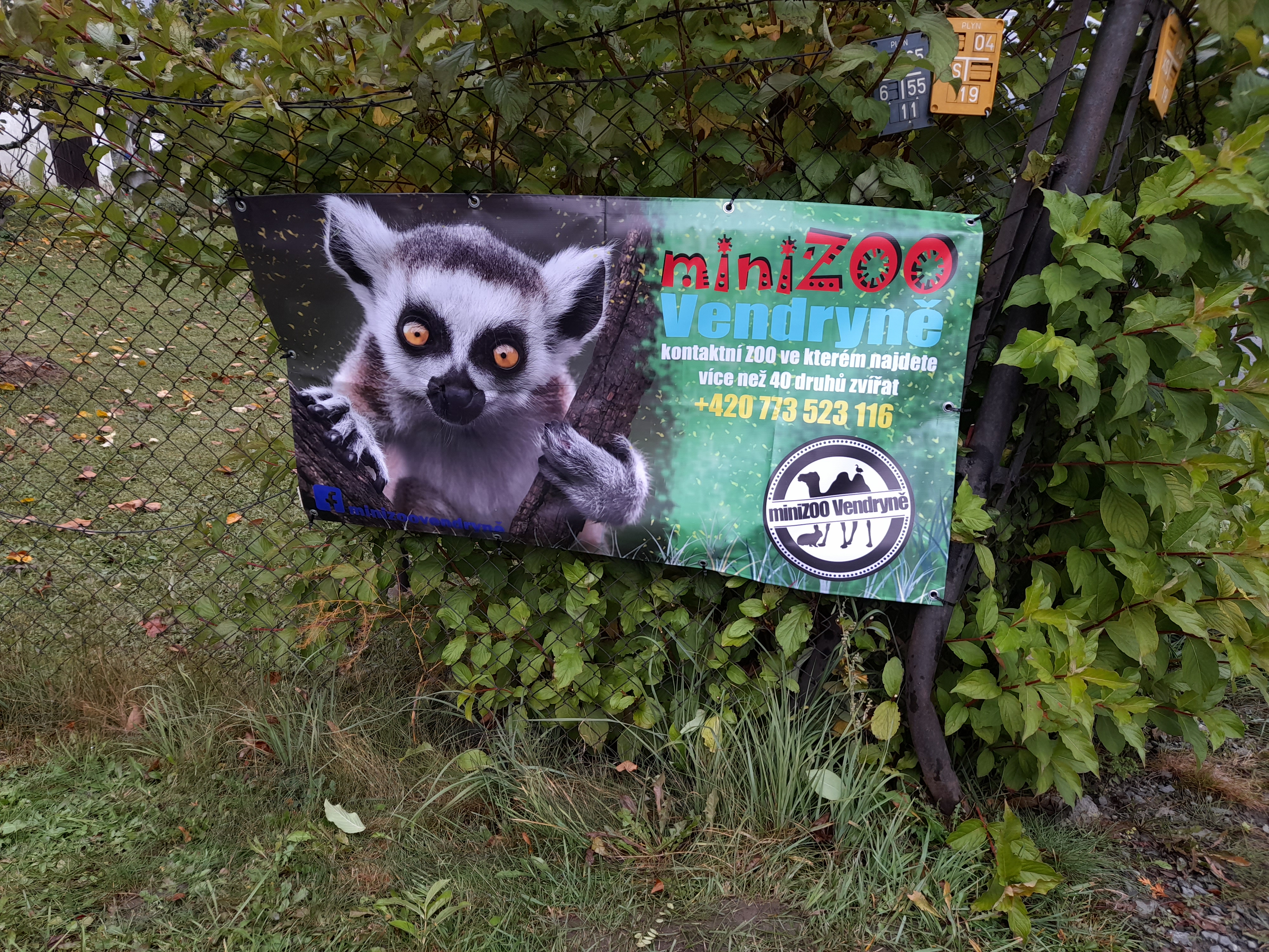 minizoo Vendryně foto 6