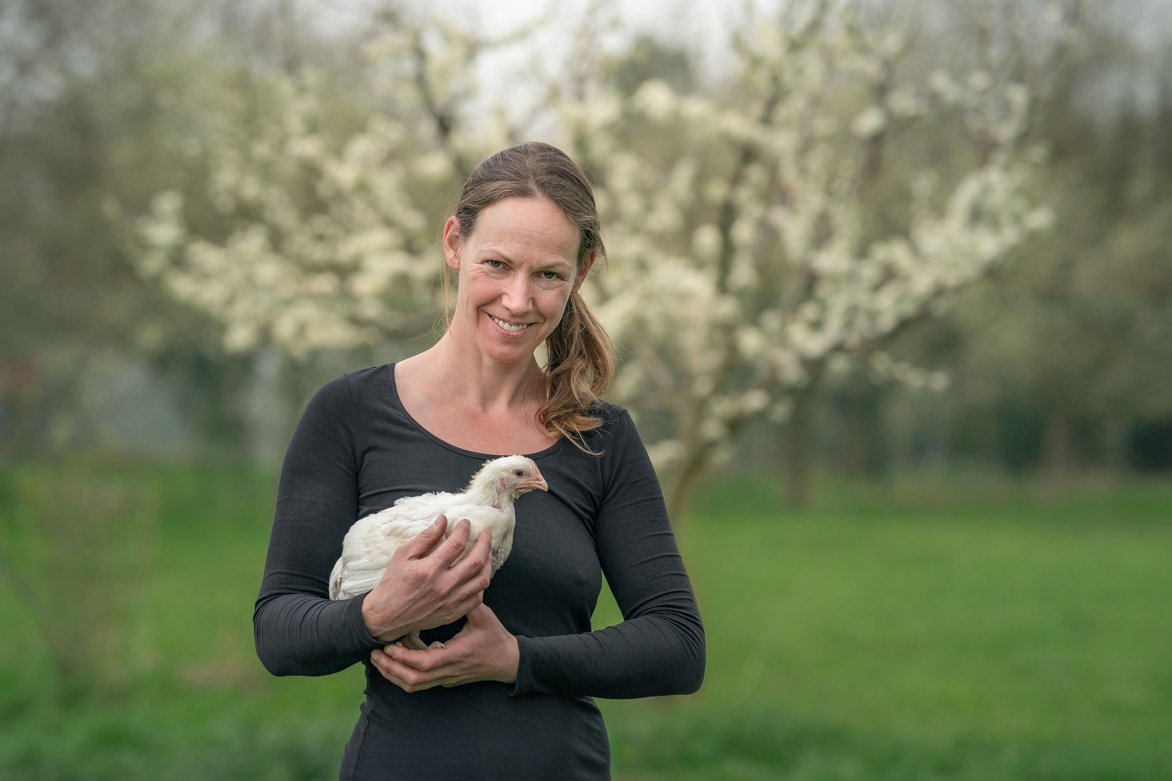 Dášino kuře z Kutnohorska foto 2